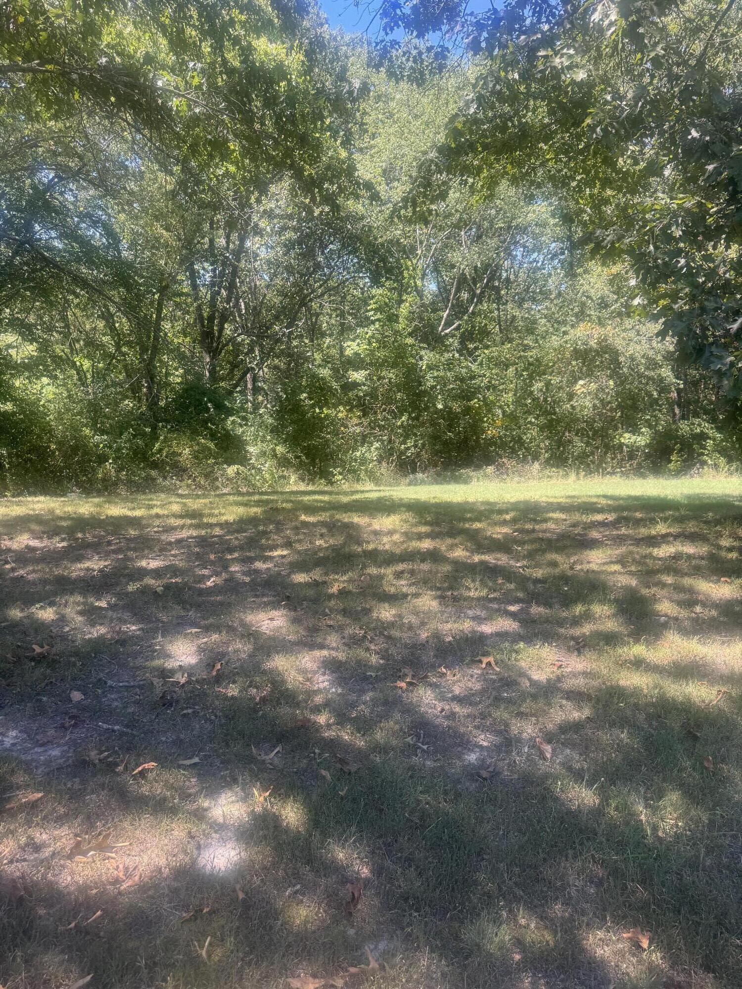 Photo 3 - Land for sale – 000  Rt 248   Galena, MO