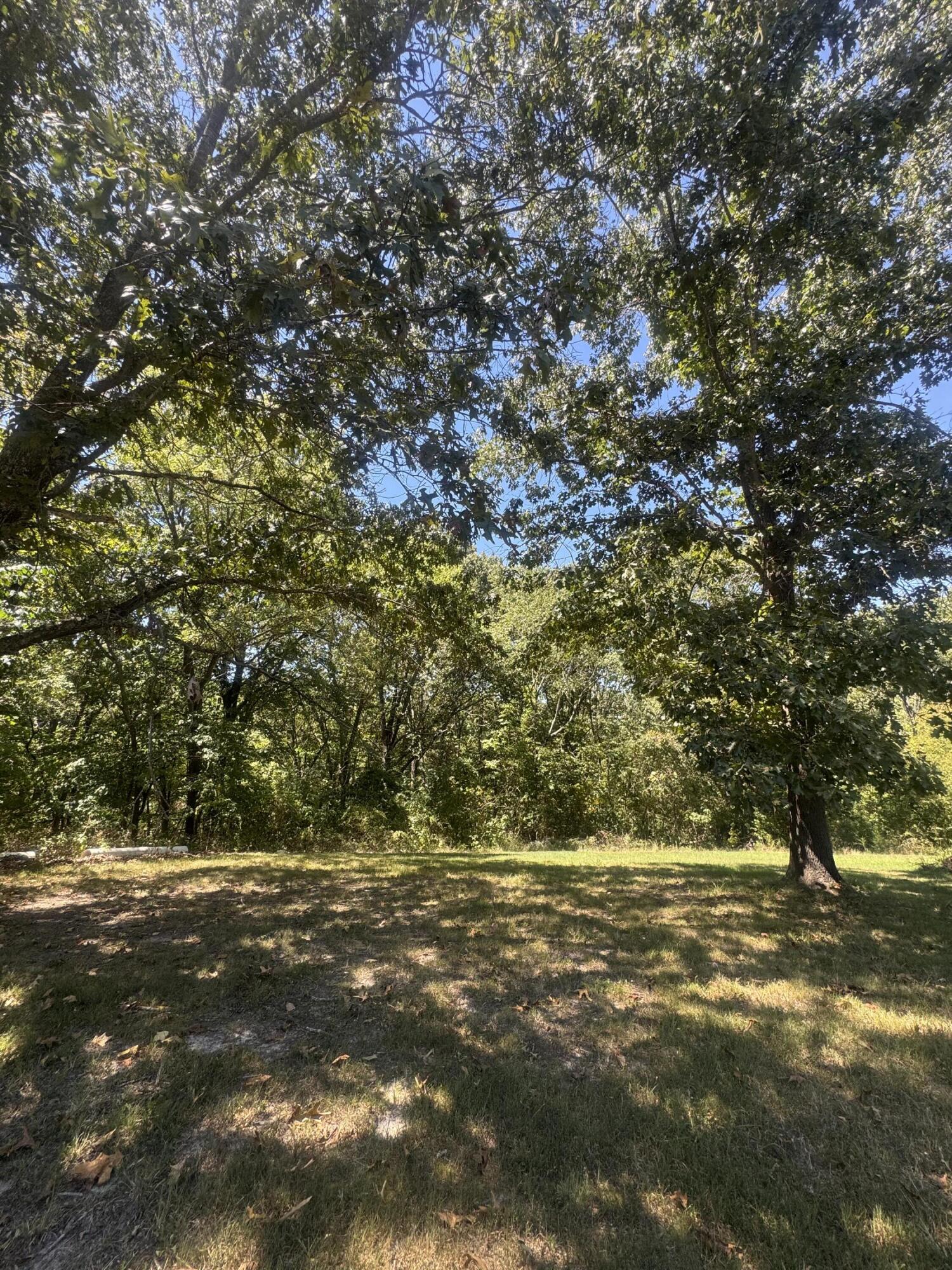 Land for sale – 000  Rt 248   Galena, MO