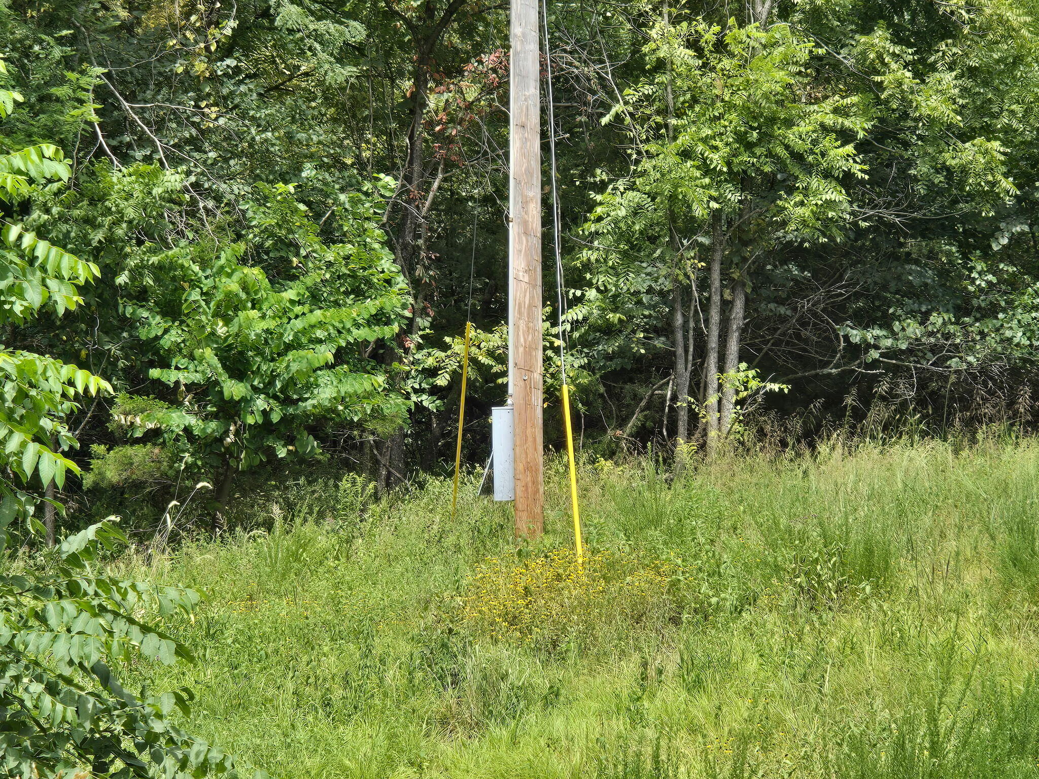 Photo 14 - Land for sale – 00  Hico Road  Long Lane, MO