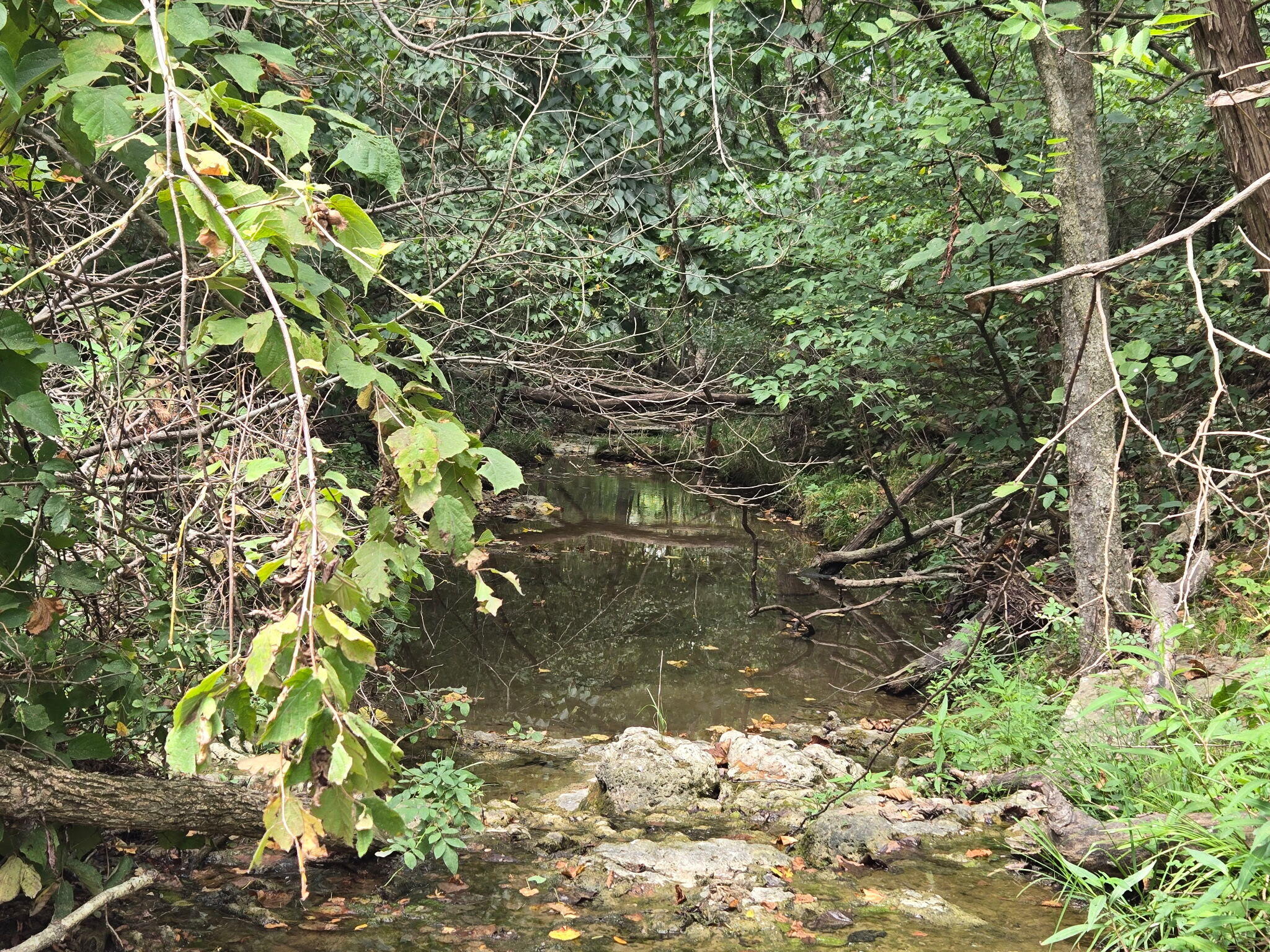 Photo 2 - Land for sale – 00  Hico Road  Long Lane, MO