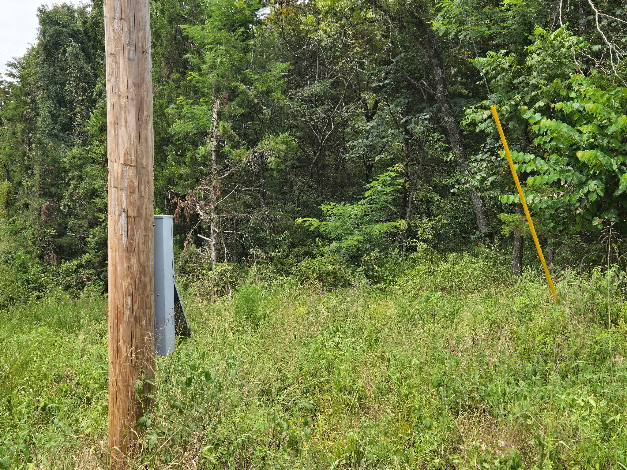 Photo 12 - Land for sale – 00  Hico Road  Long Lane, MO