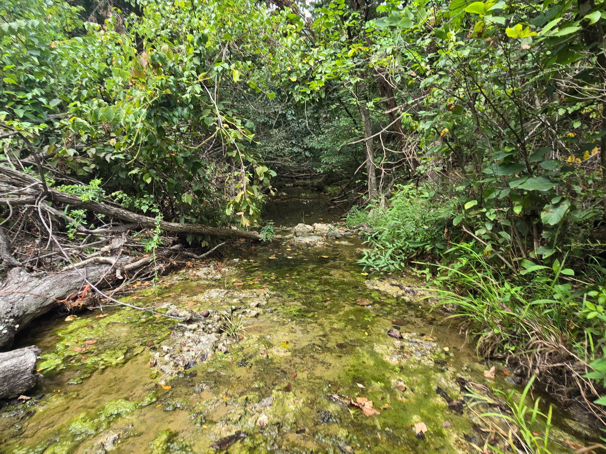 Photo 3 - Land for sale – 00  Hico Road  Long Lane, MO