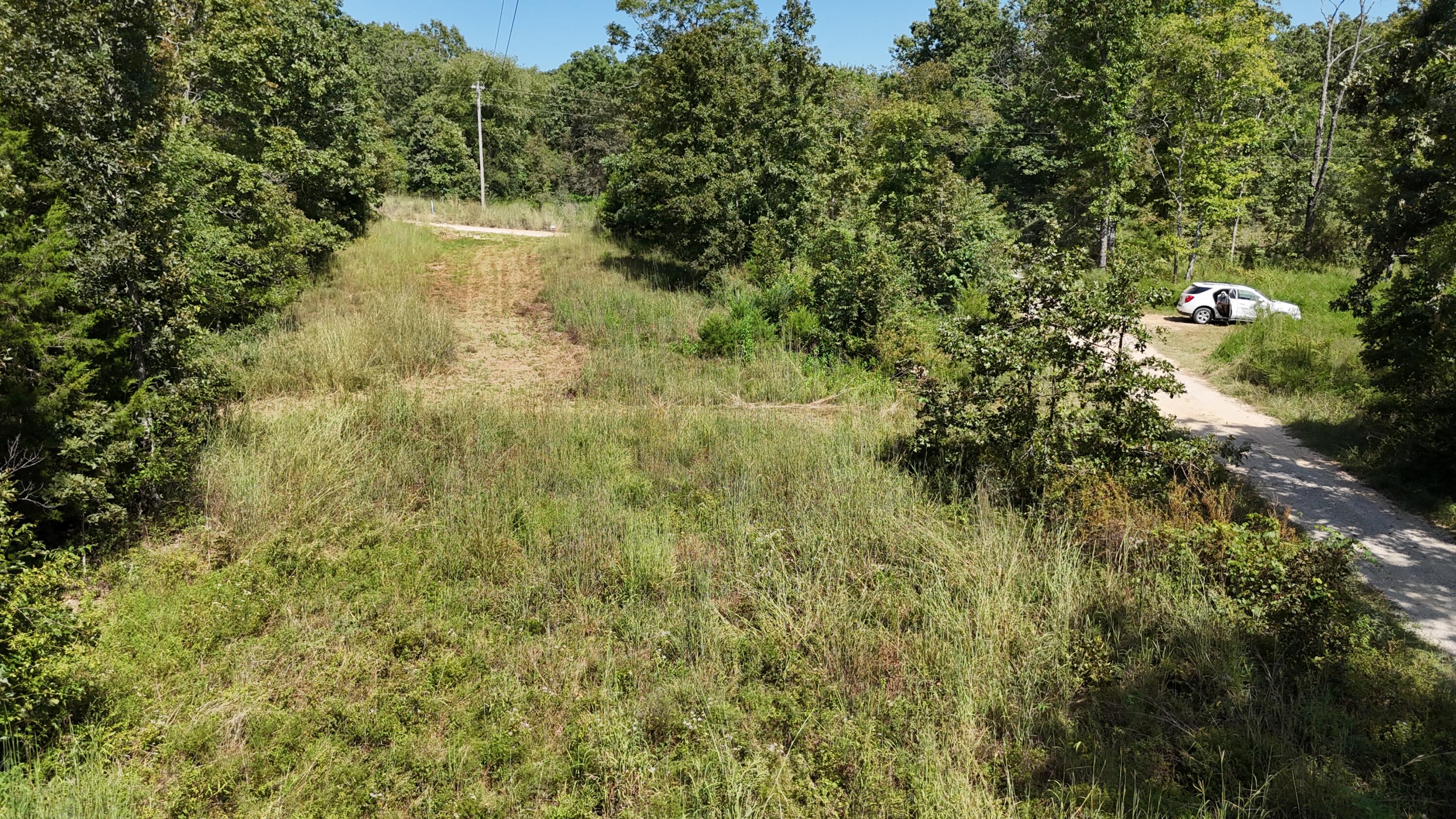 Photo 9 - Land for sale – 000  County Road 1990   Willow Springs, MO