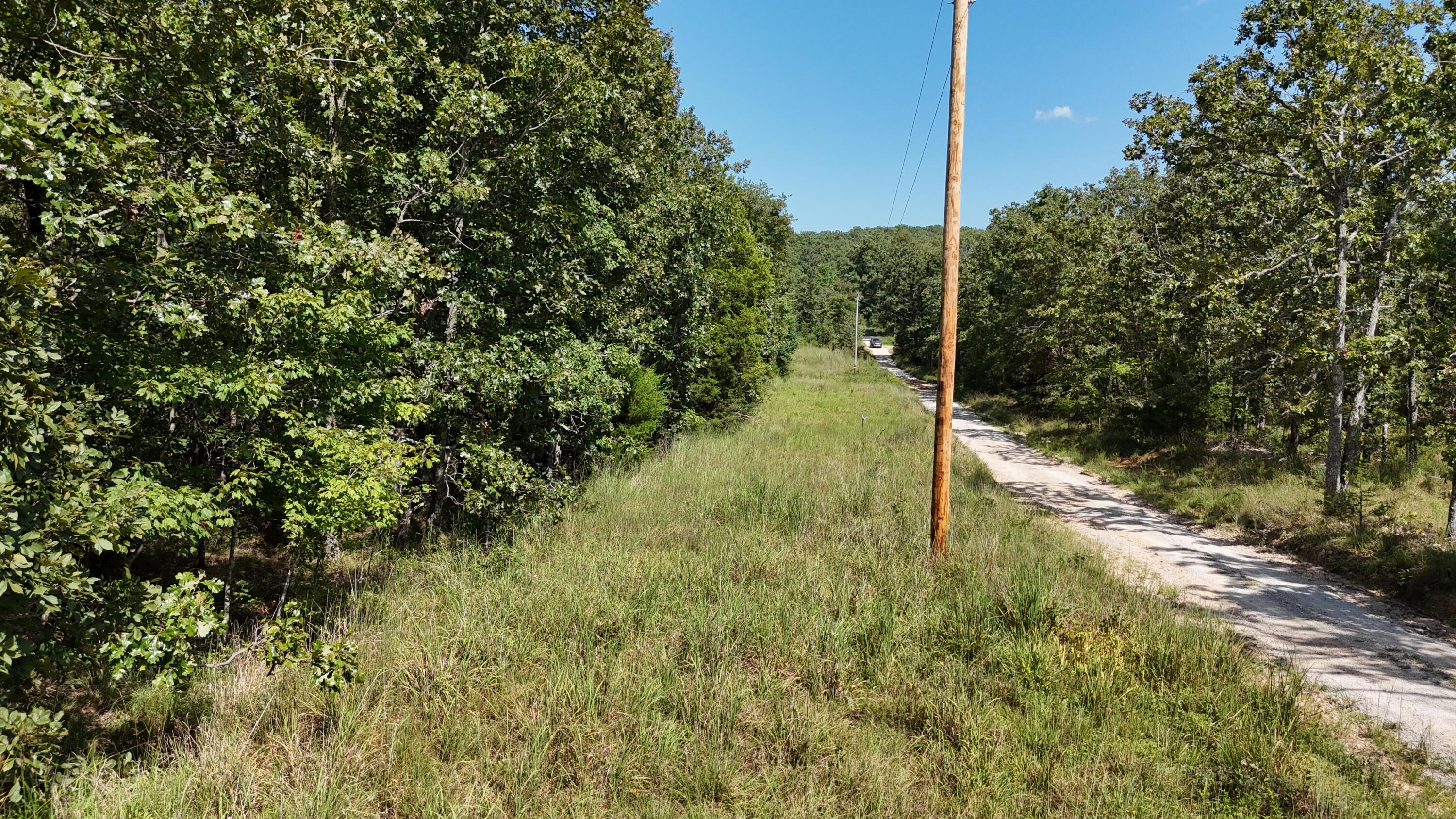 Photo 11 - Land for sale – 000  County Road 1990   Willow Springs, MO