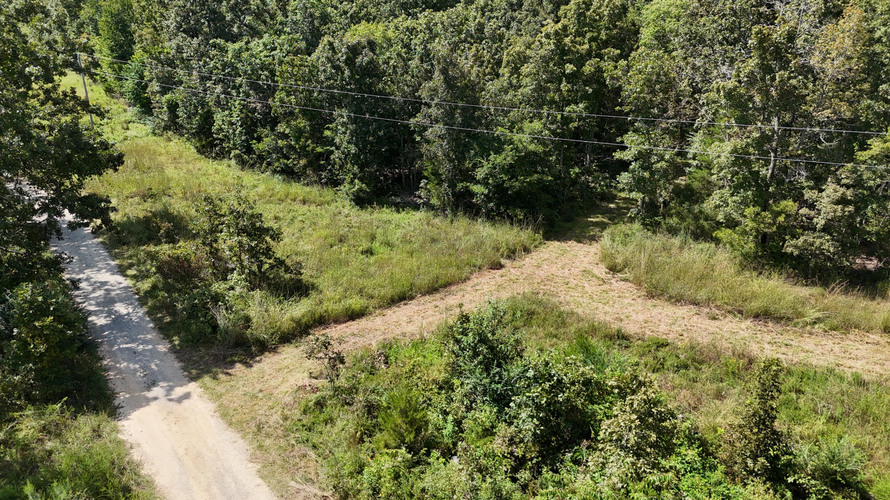 Photo 39 - Land for sale – 000  County Road 1990   Willow Springs, MO