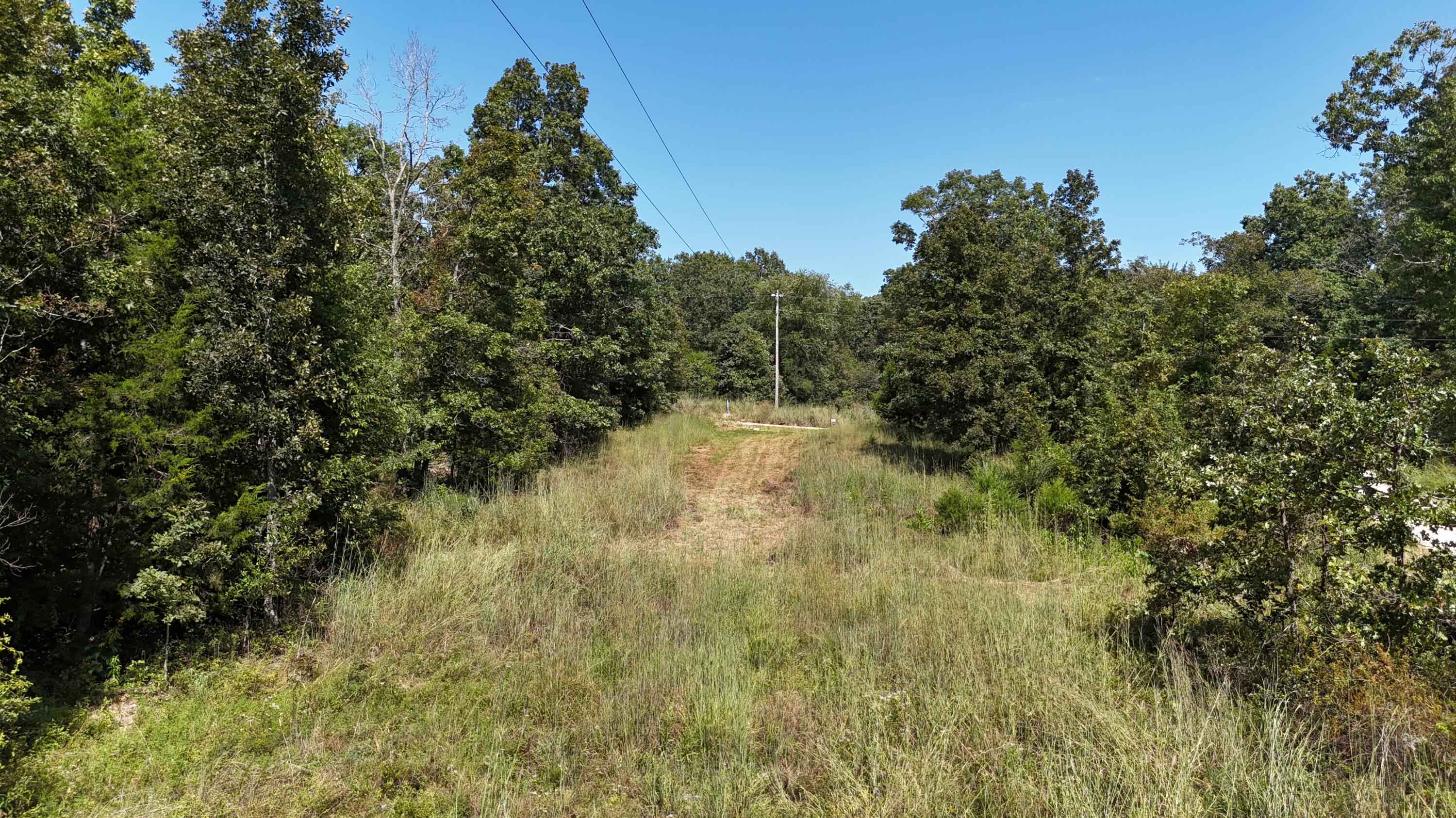 Photo 25 - Land for sale – 000  County Road 1990   Willow Springs, MO