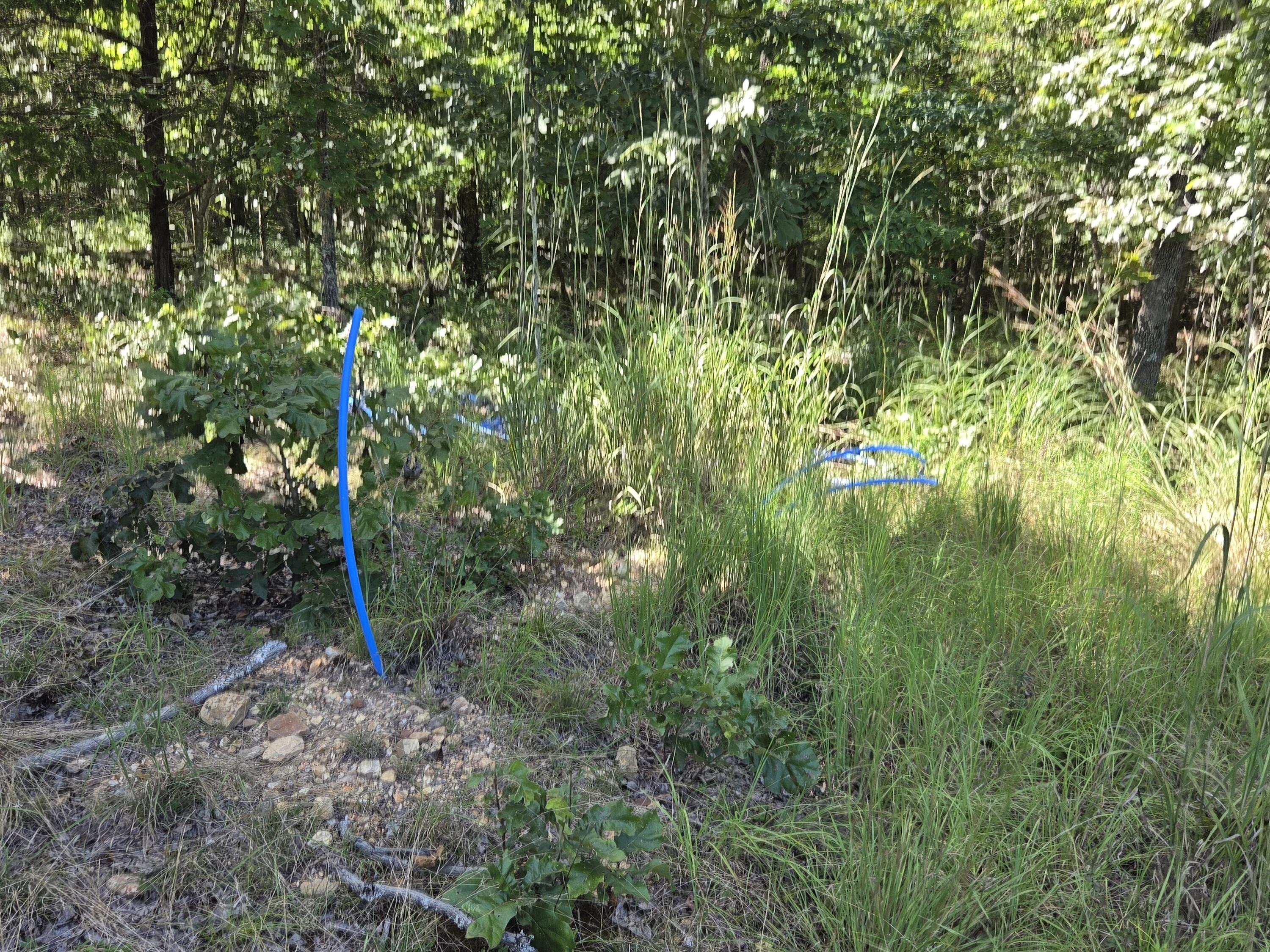 Photo 43 - Land for sale – 000  County Road 1990   Willow Springs, MO