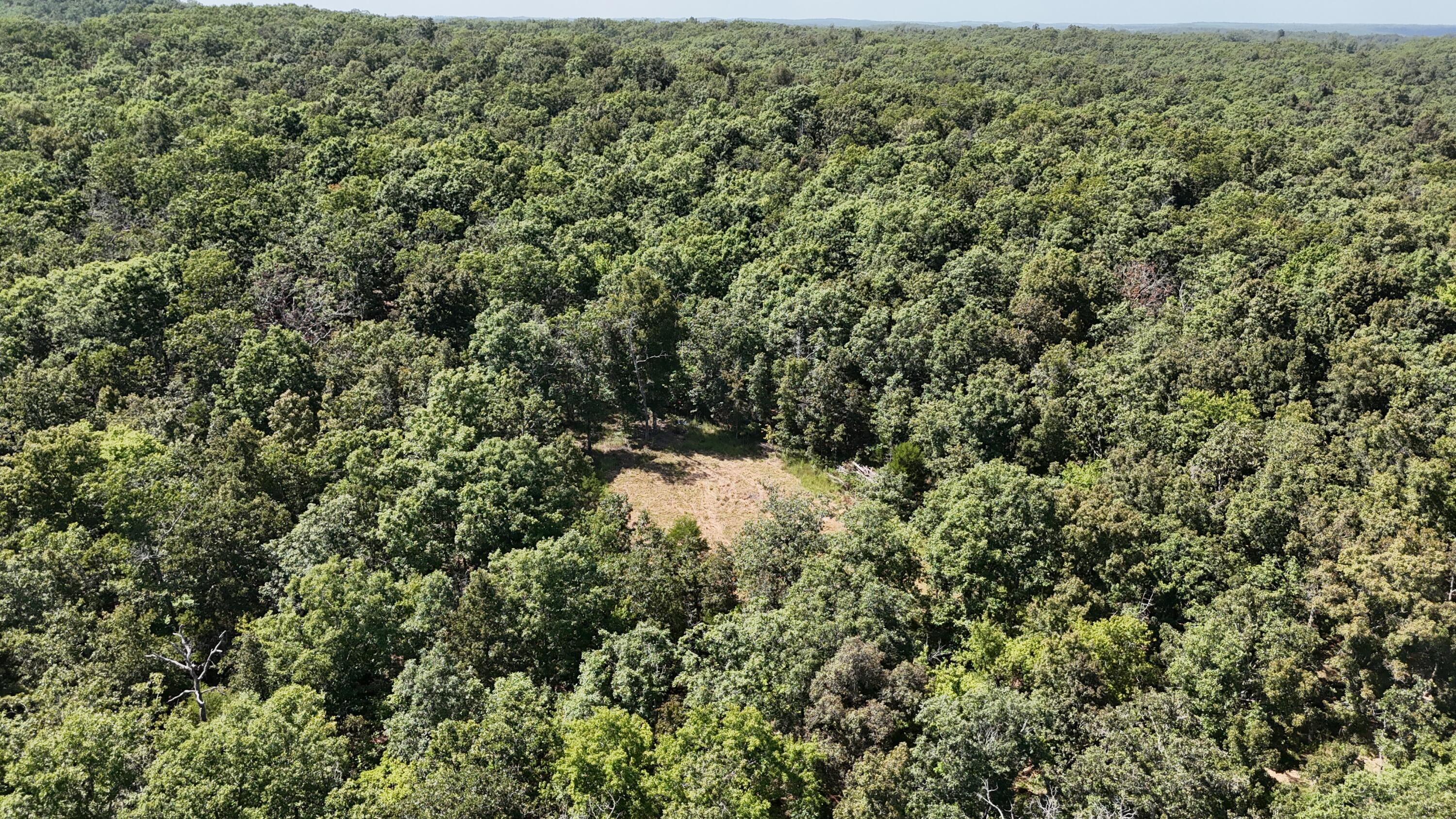 Photo 35 - Land for sale – 000  County Road 1990   Willow Springs, MO