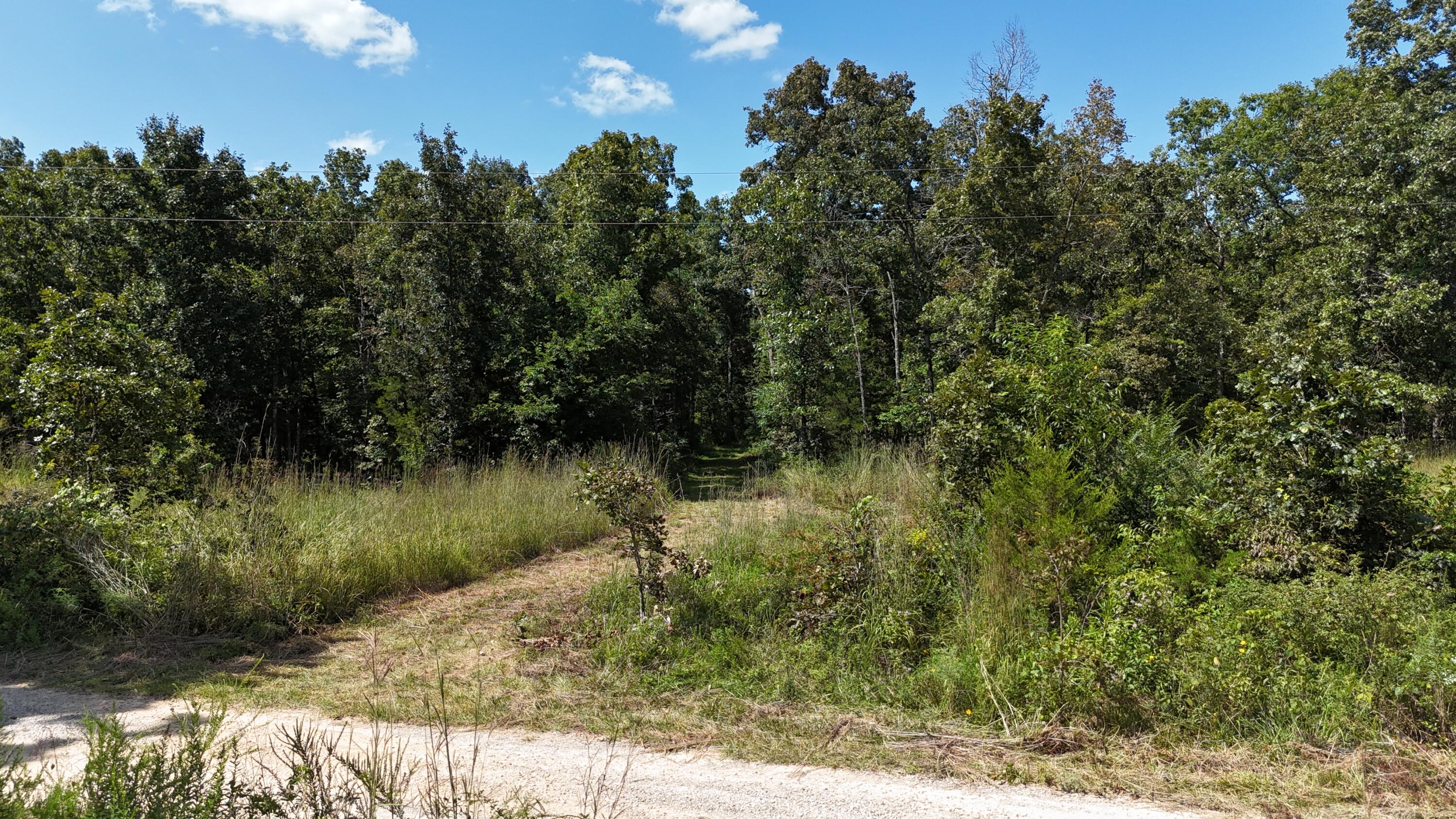 Photo 23 - Land for sale – 000  County Road 1990   Willow Springs, MO