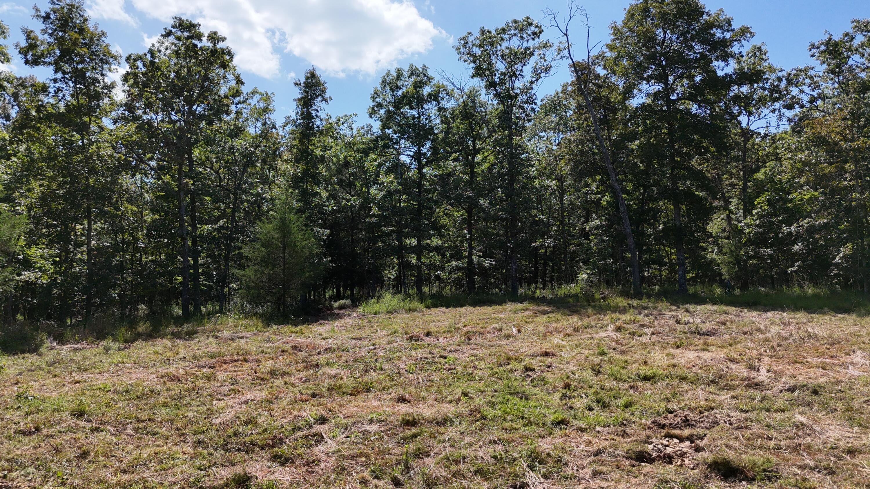 Photo 31 - Land for sale – 000  County Road 1990   Willow Springs, MO