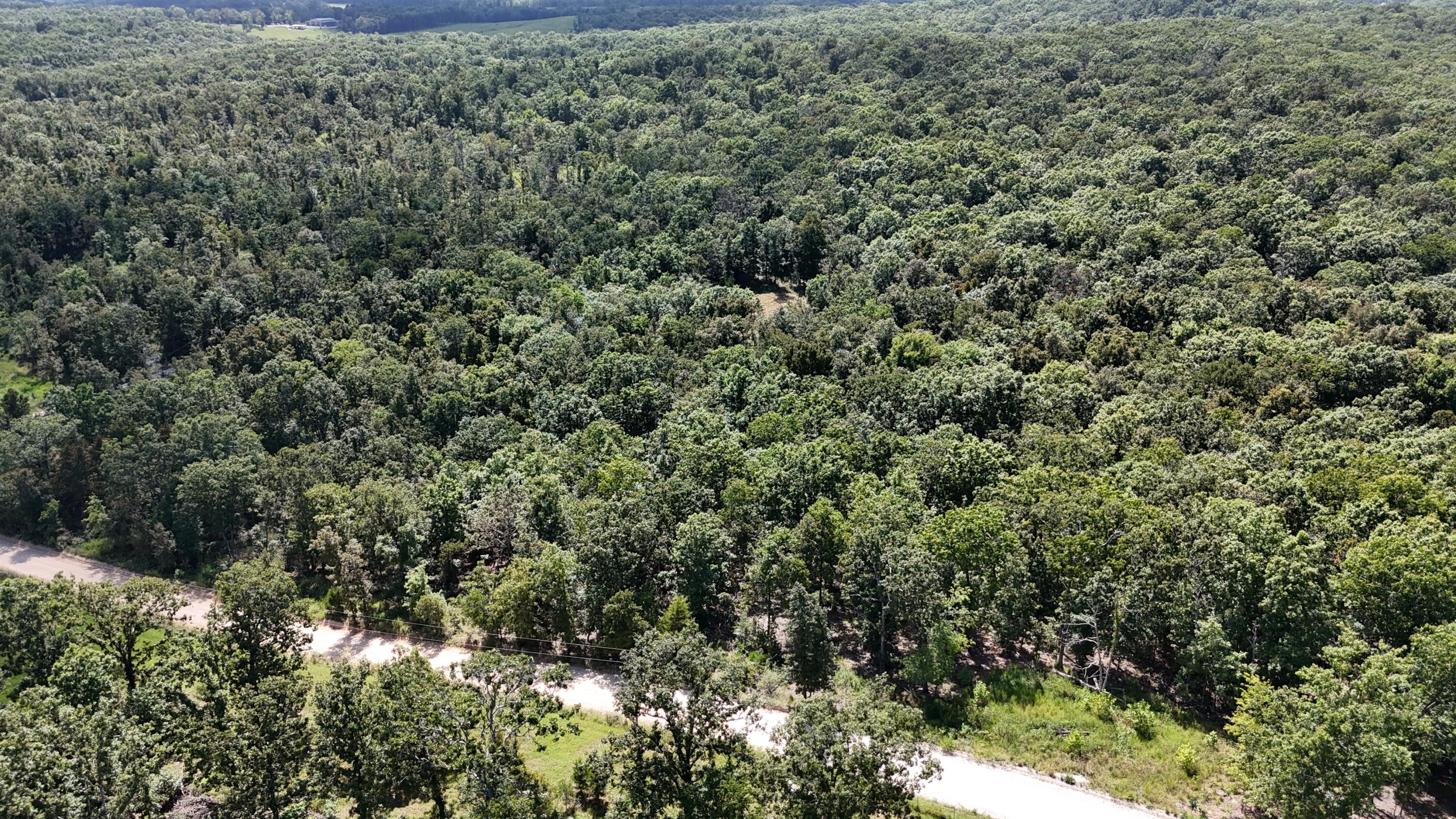 Photo 20 - Land for sale – 000  County Road 1990   Willow Springs, MO