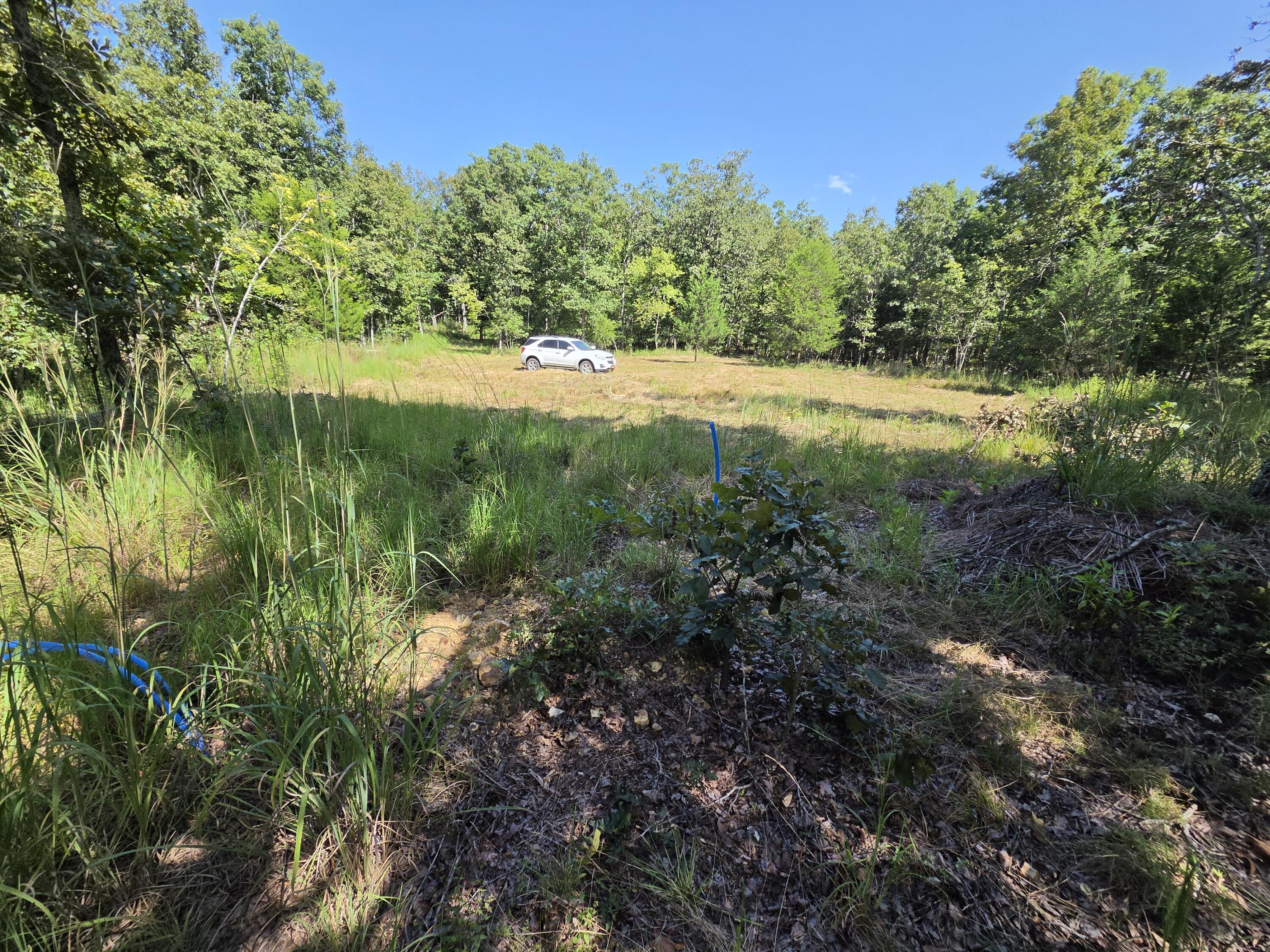Photo 49 - Land for sale – 000  County Road 1990   Willow Springs, MO