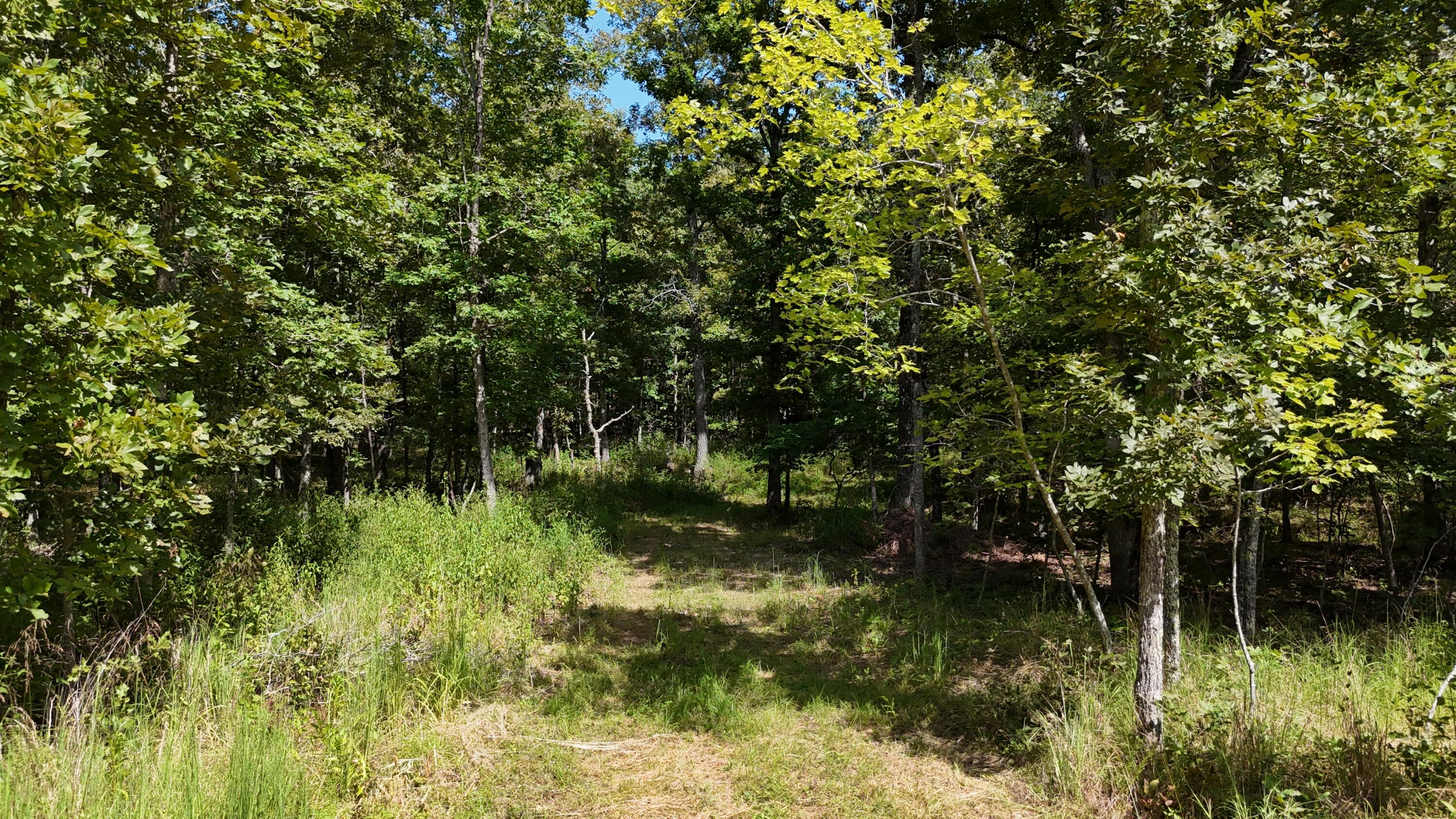 Photo 30 - Land for sale – 000  County Road 1990   Willow Springs, MO