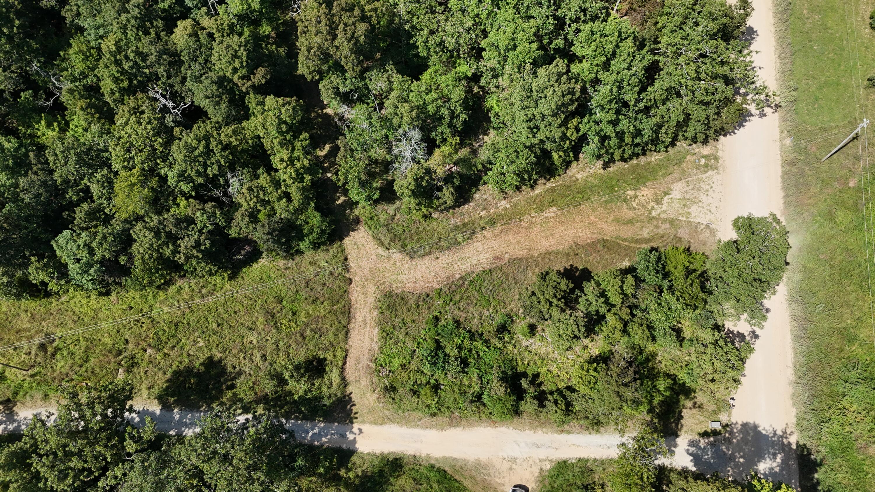 Photo 22 - Land for sale – 000  County Road 1990   Willow Springs, MO