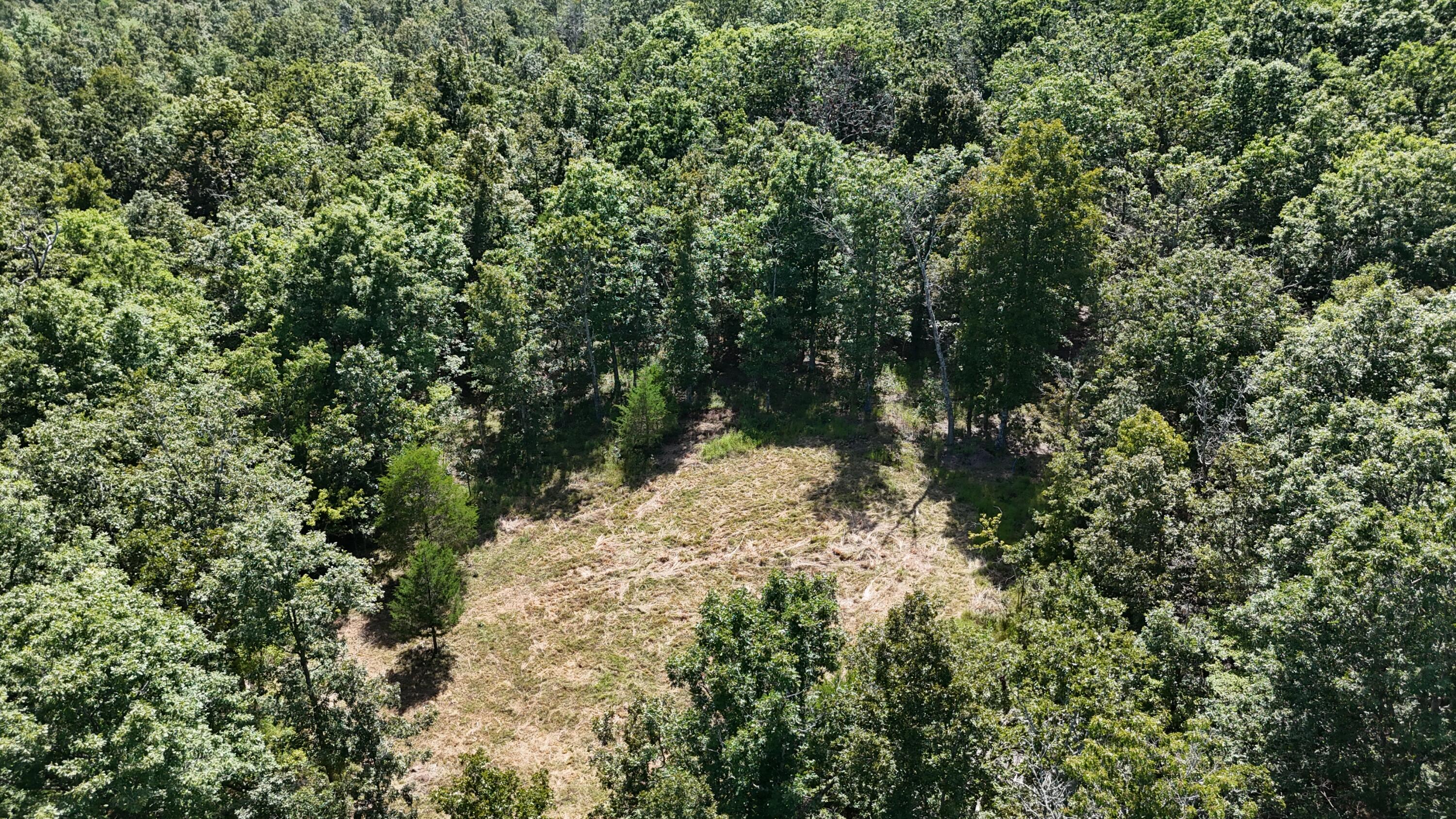 Photo 34 - Land for sale – 000  County Road 1990   Willow Springs, MO