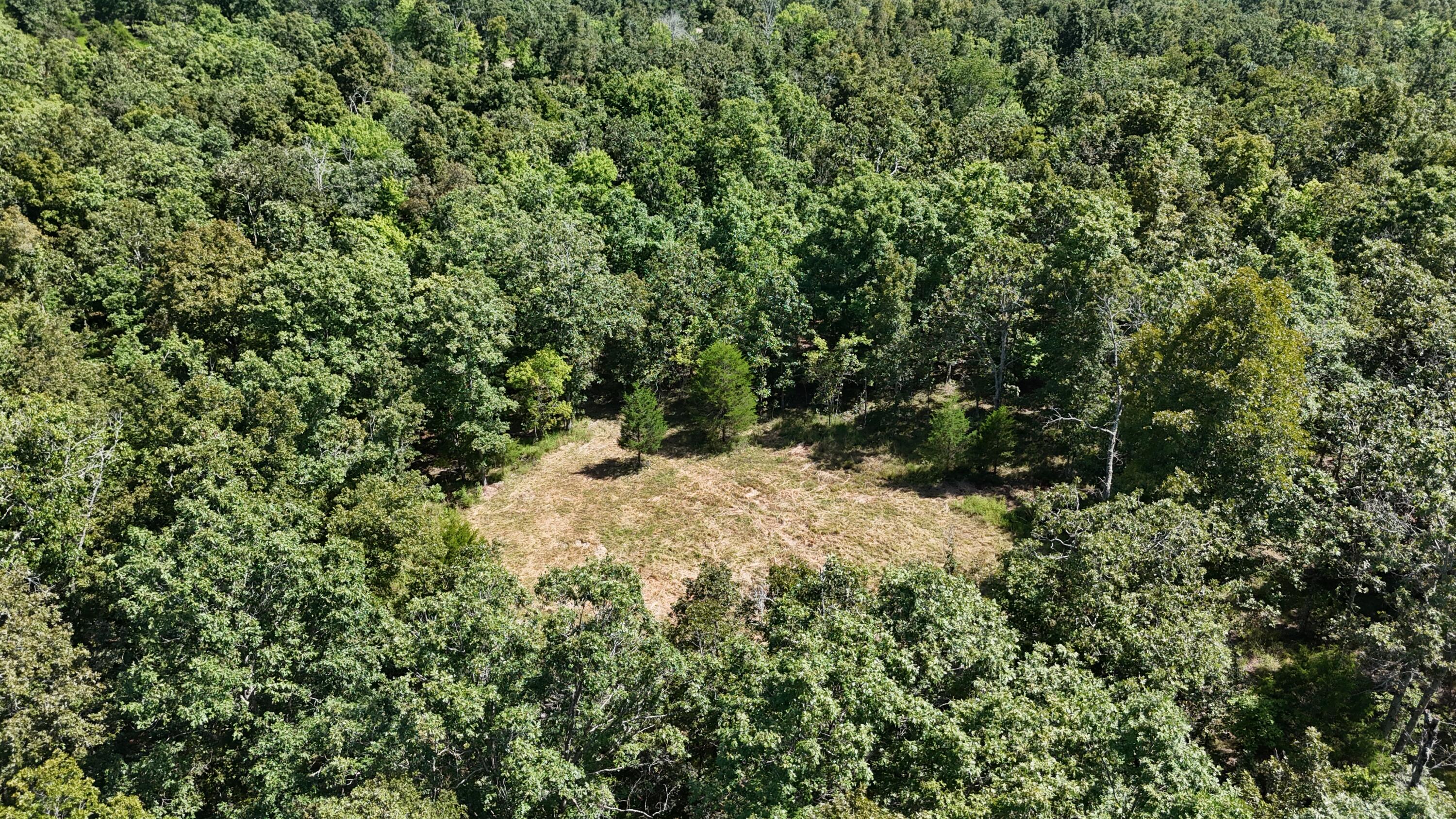 Photo 33 - Land for sale – 000  County Road 1990   Willow Springs, MO