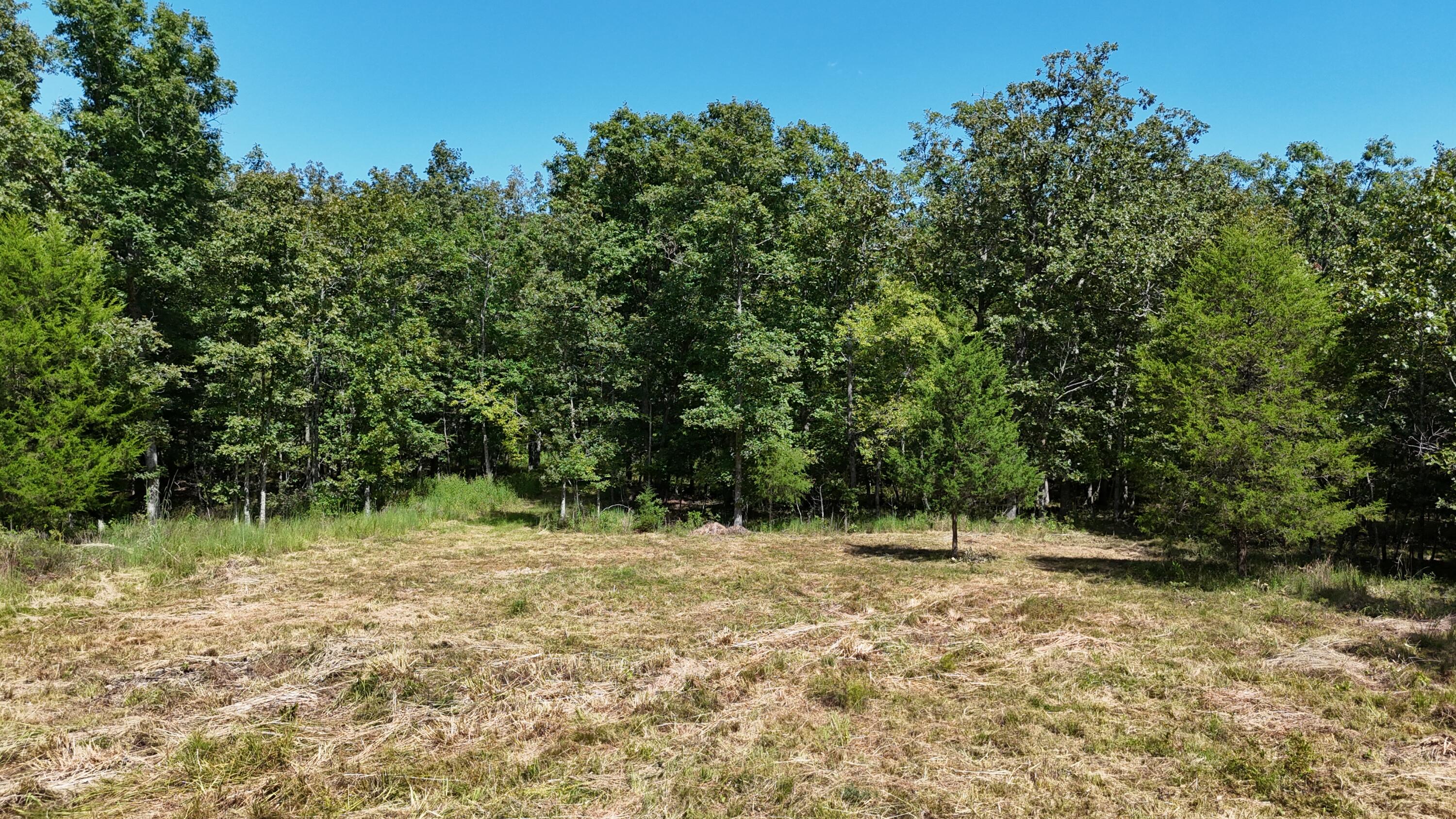 Photo 32 - Land for sale – 000  County Road 1990   Willow Springs, MO