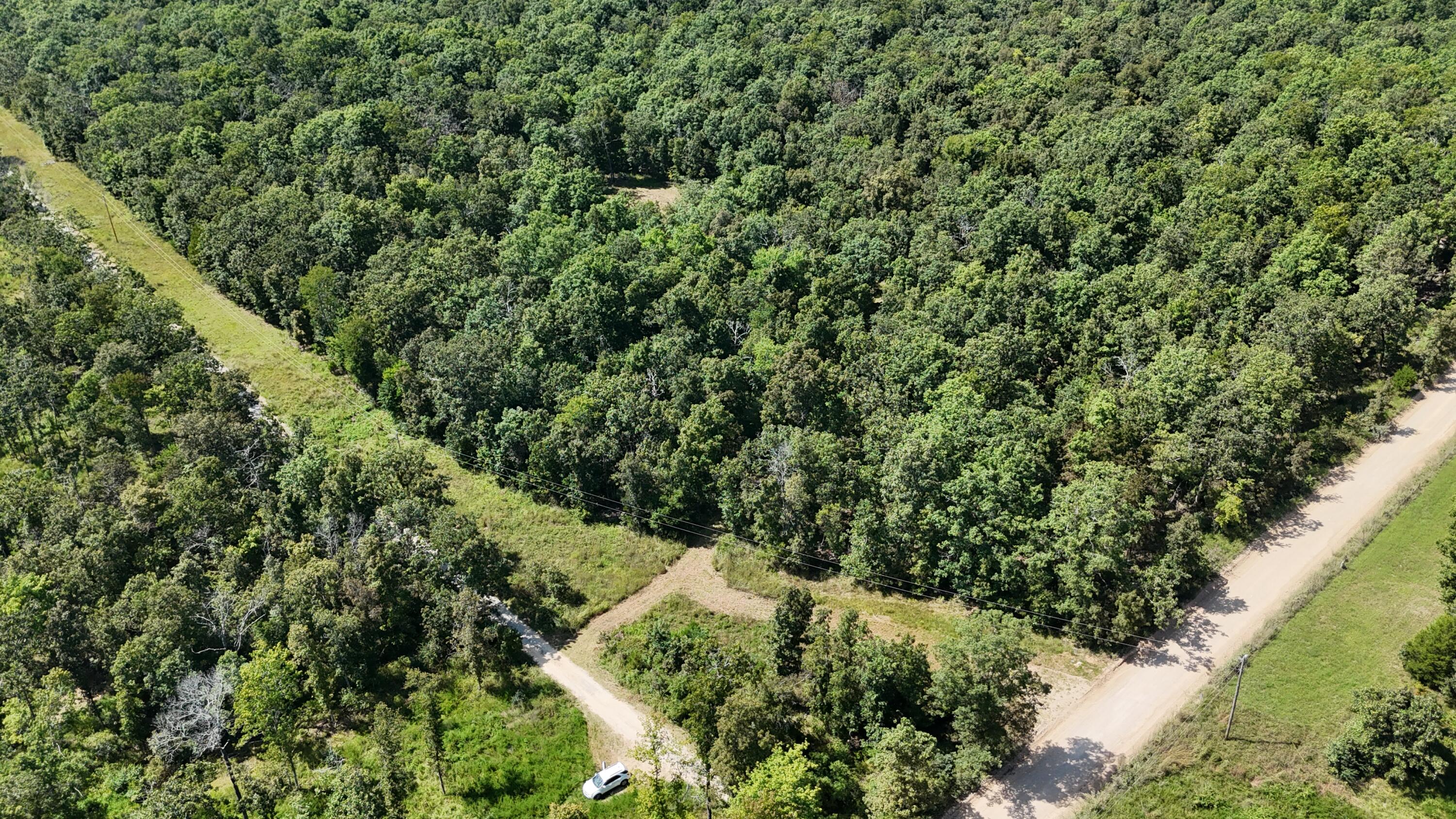 Photo 21 - Land for sale – 000  County Road 1990   Willow Springs, MO