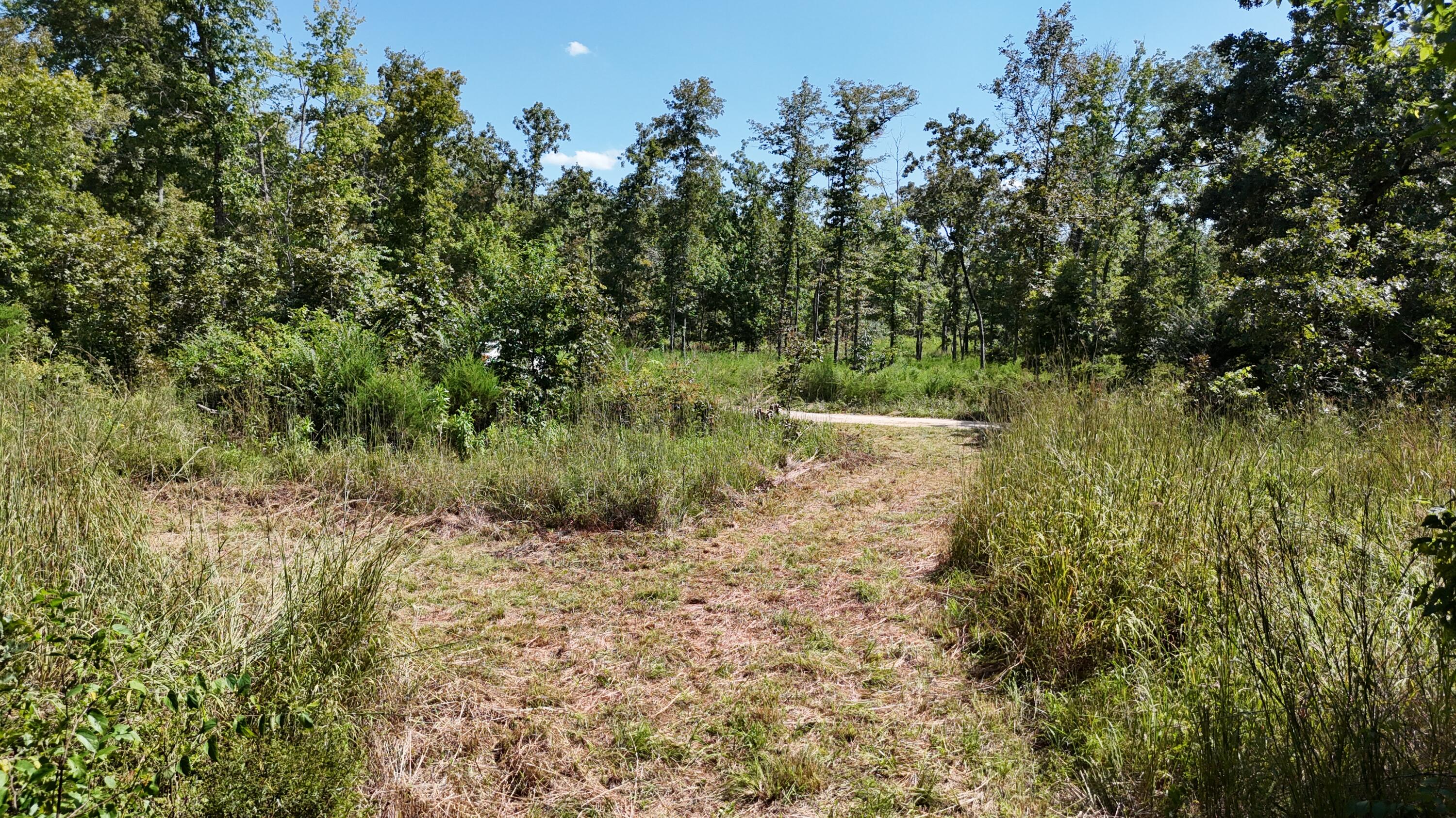 Photo 26 - Land for sale – 000  County Road 1990   Willow Springs, MO