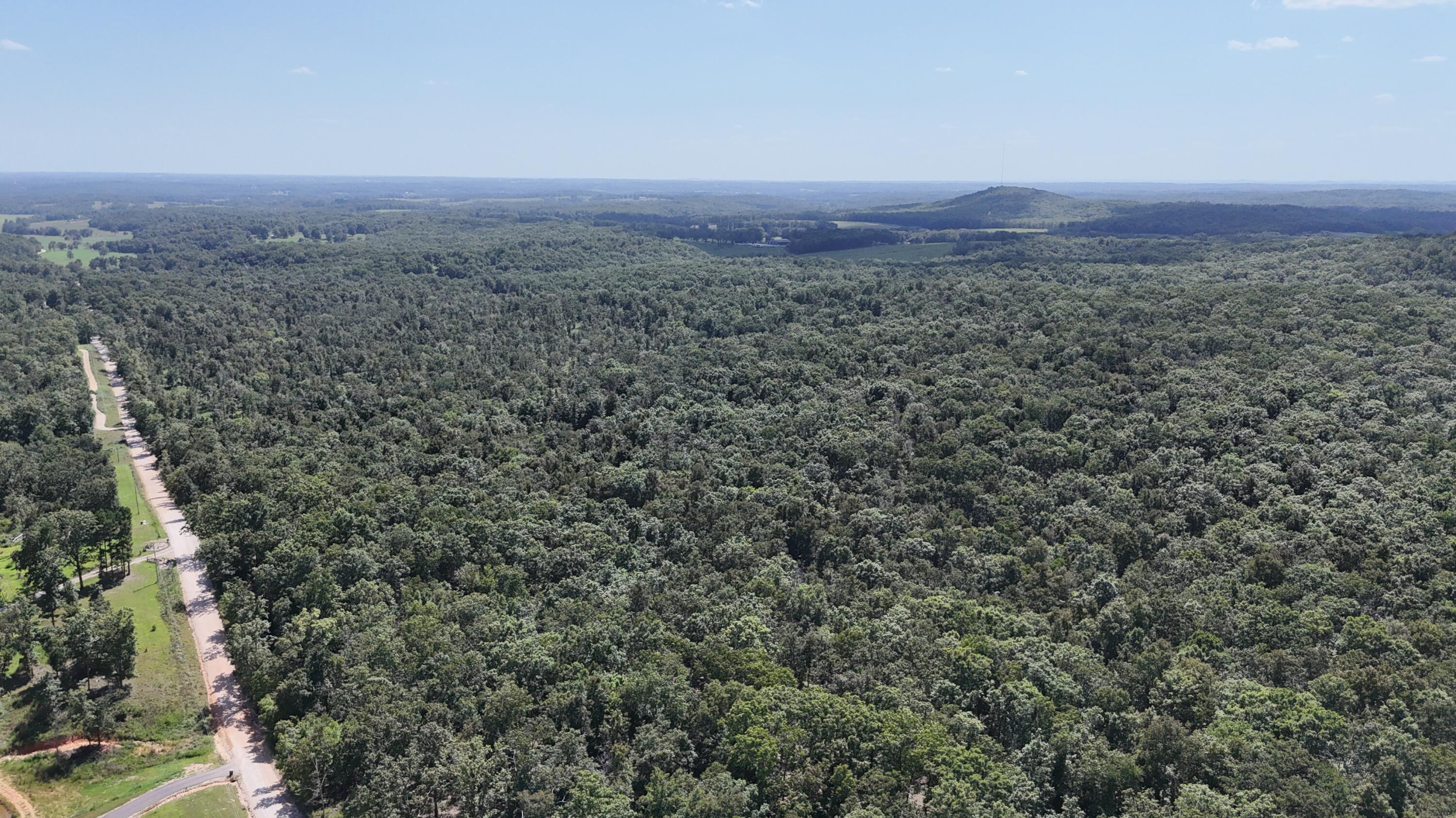 Photo 18 - Land for sale – 000  County Road 1990   Willow Springs, MO