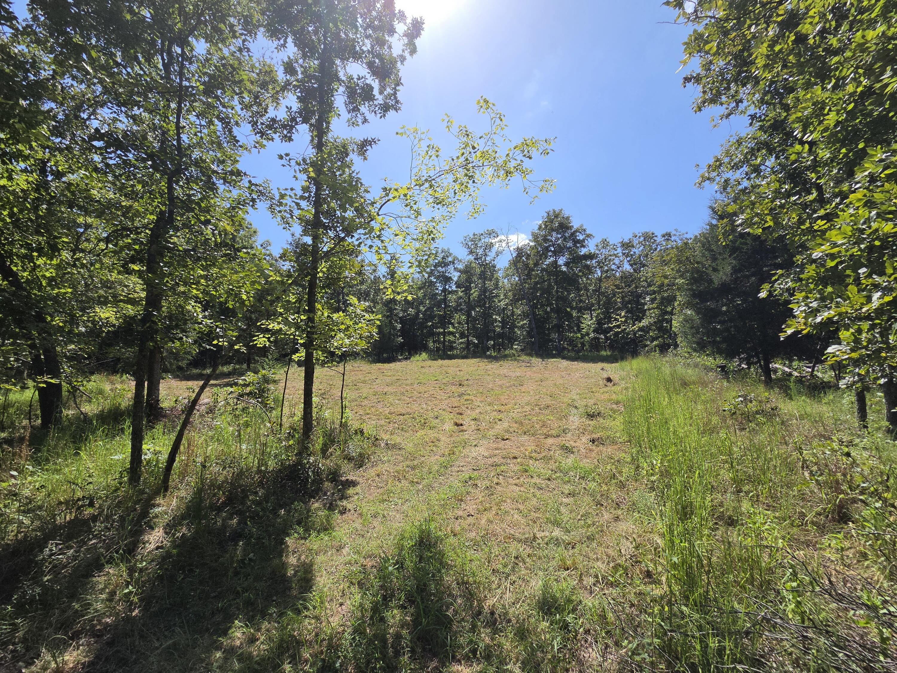 Photo 46 - Land for sale – 000  County Road 1990   Willow Springs, MO
