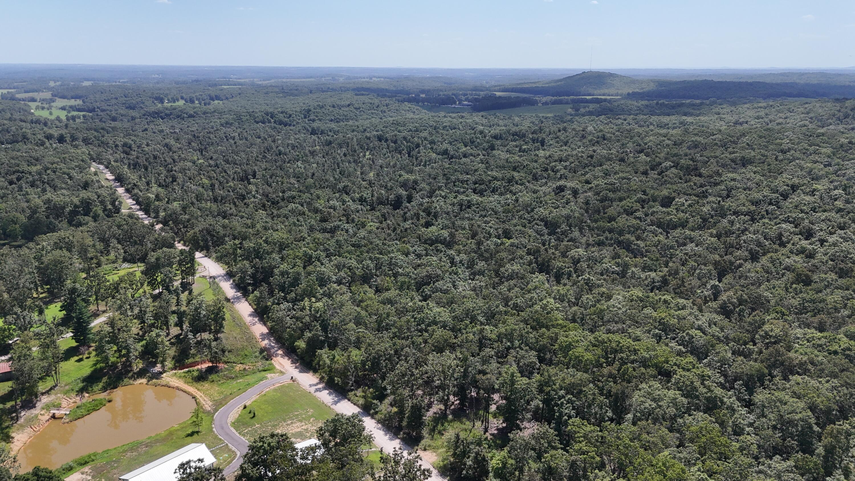Photo 19 - Land for sale – 000  County Road 1990   Willow Springs, MO
