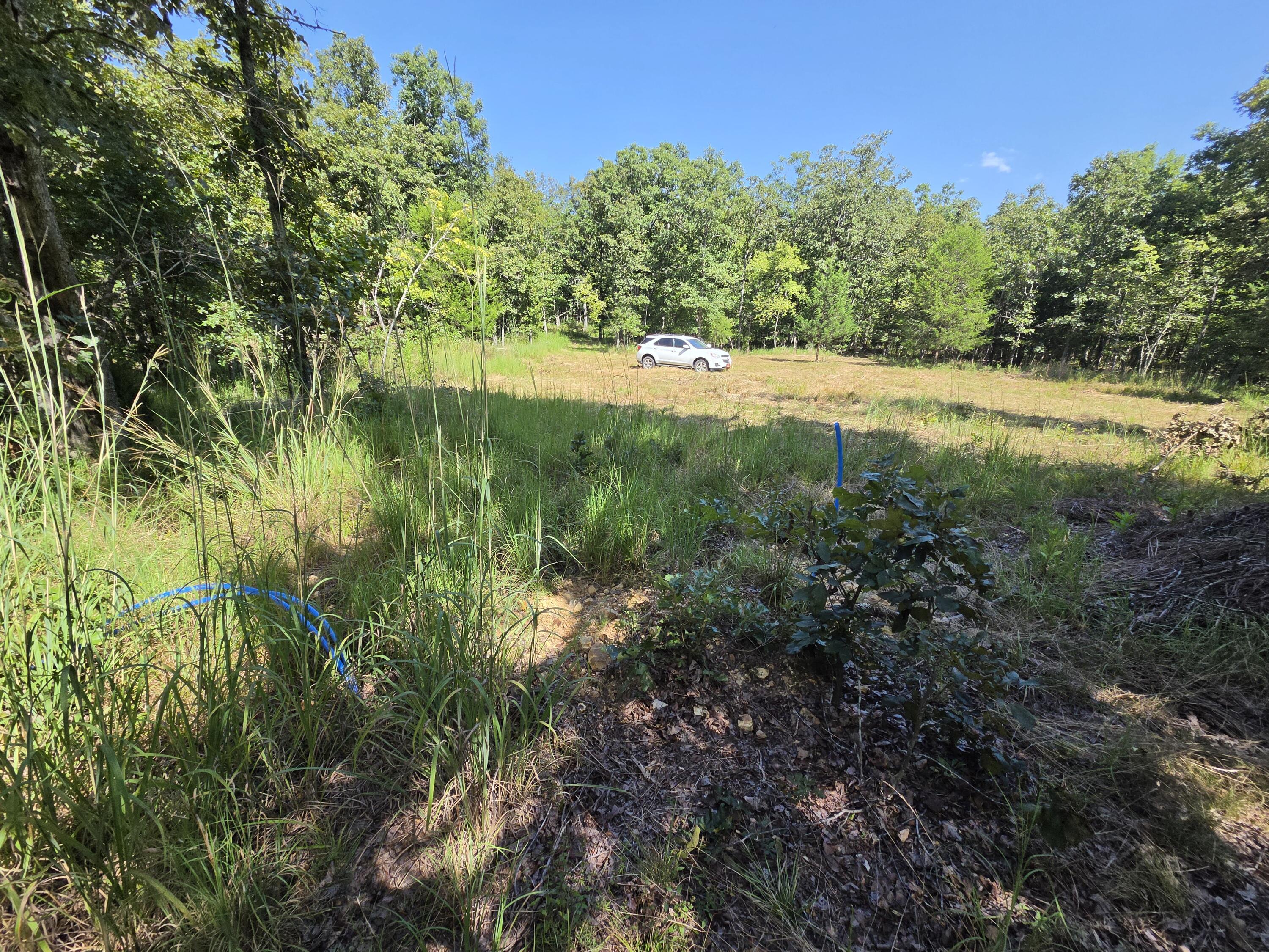 Photo 42 - Land for sale – 000  County Road 1990   Willow Springs, MO