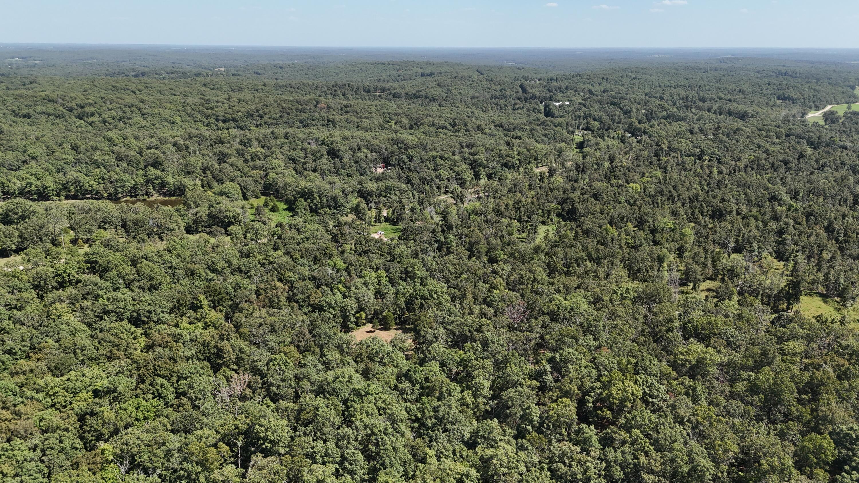 Photo 16 - Land for sale – 000  County Road 1990   Willow Springs, MO
