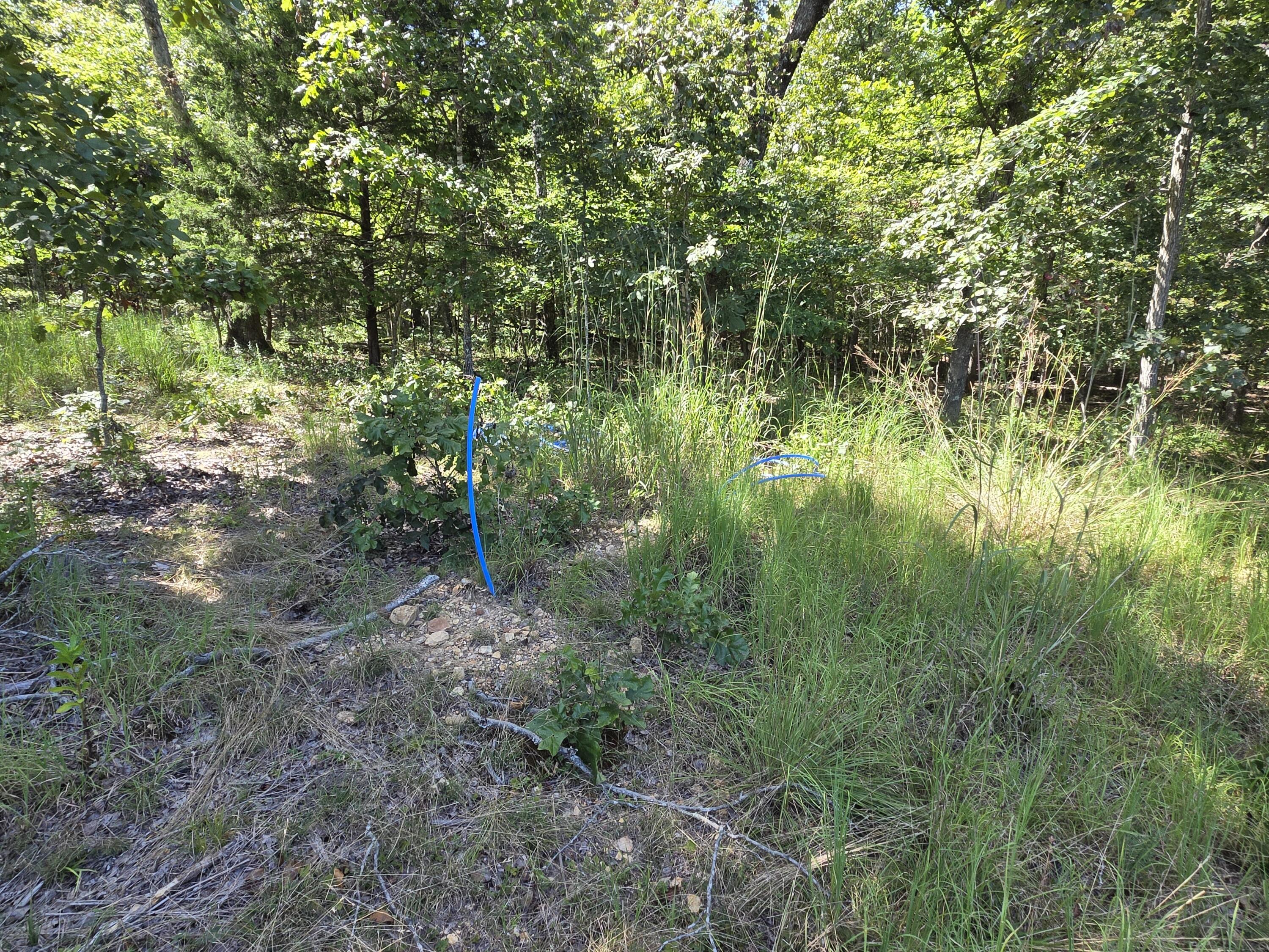 Photo 40 - Land for sale – 000  County Road 1990   Willow Springs, MO