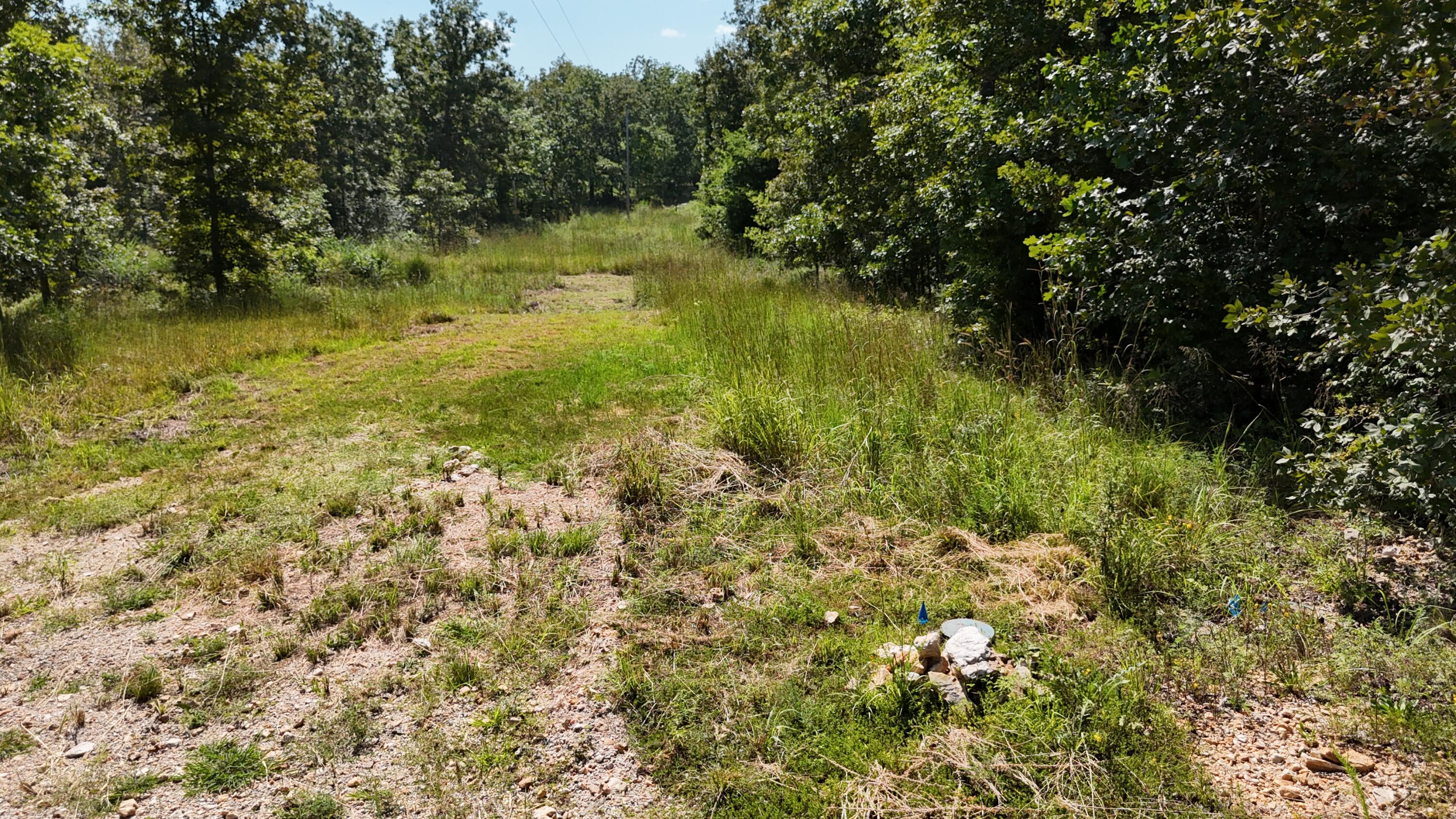 Photo 6 - Land for sale – 000  County Road 1990   Willow Springs, MO