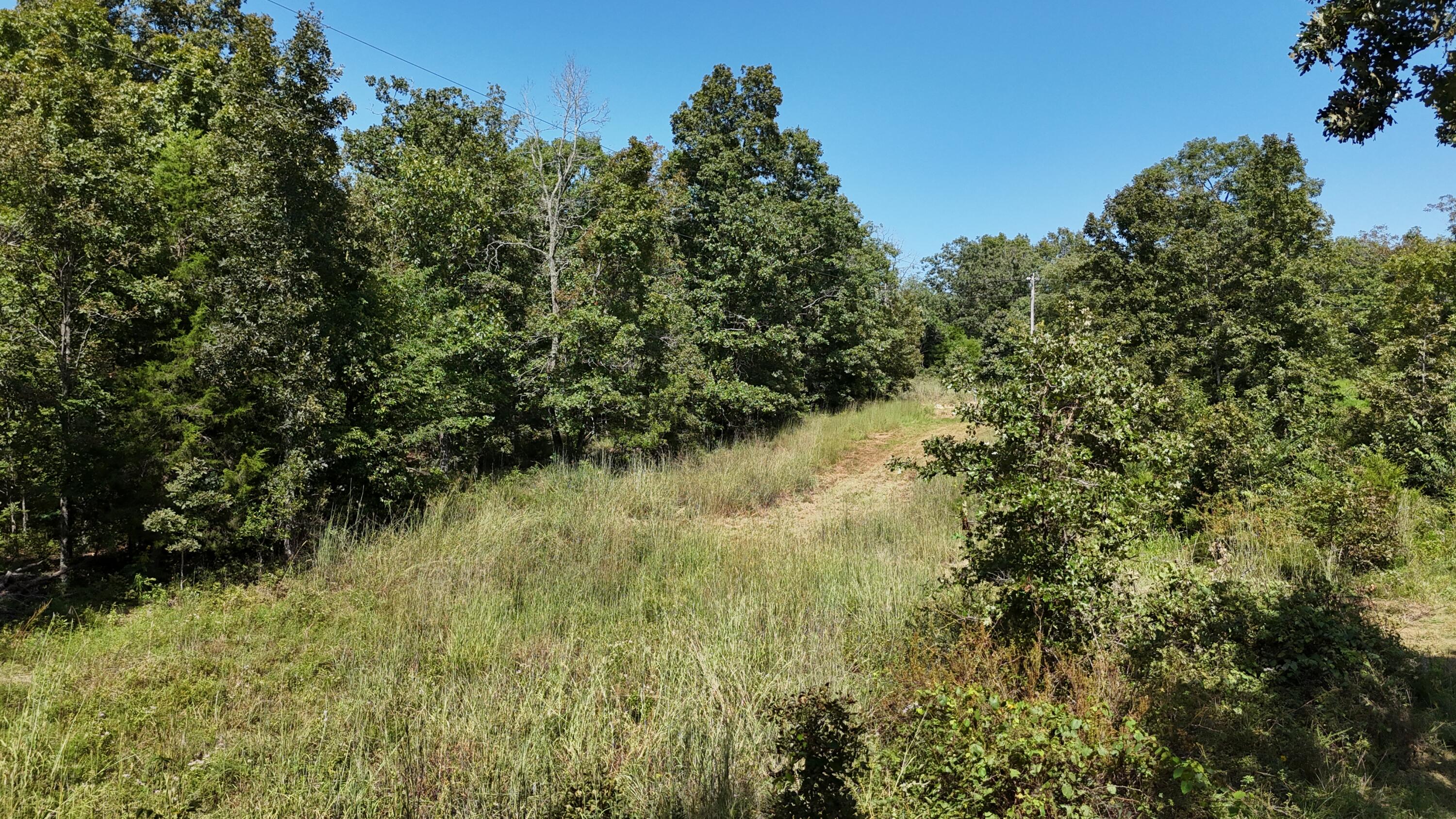 Photo 24 - Land for sale – 000  County Road 1990   Willow Springs, MO