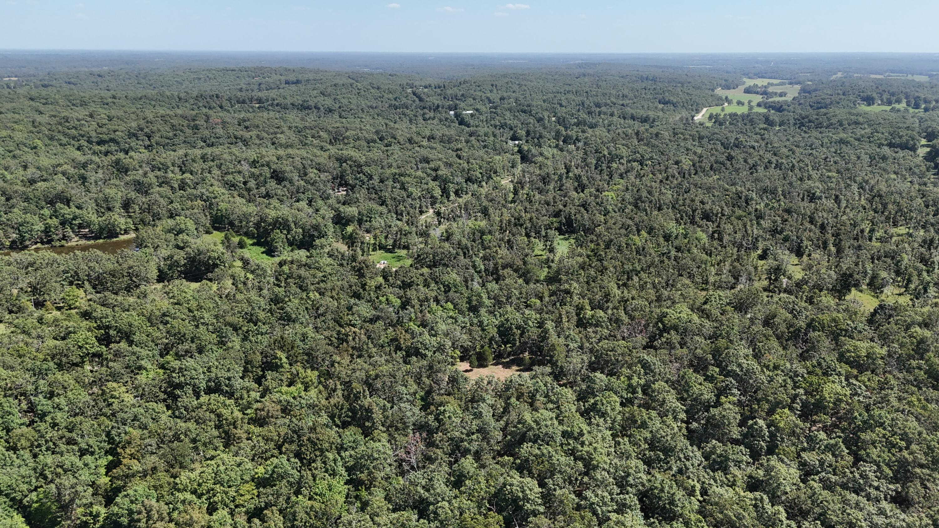 Photo 17 - Land for sale – 000  County Road 1990   Willow Springs, MO