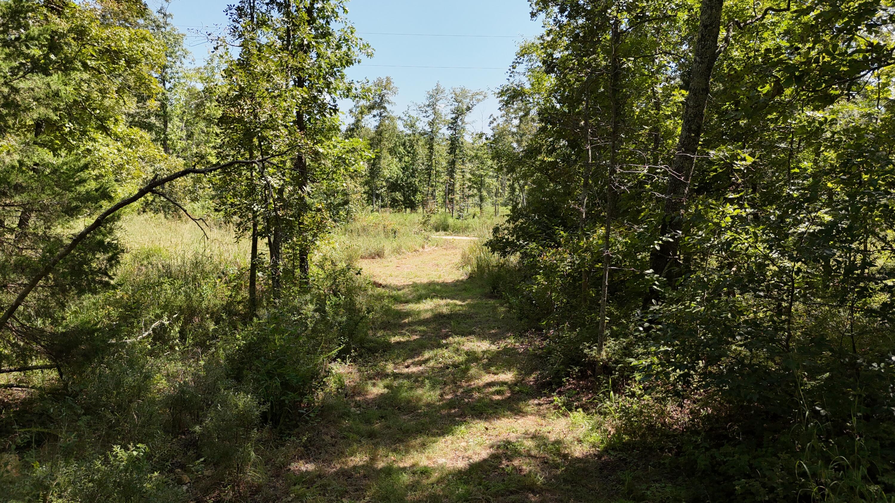 Photo 27 - Land for sale – 000  County Road 1990   Willow Springs, MO