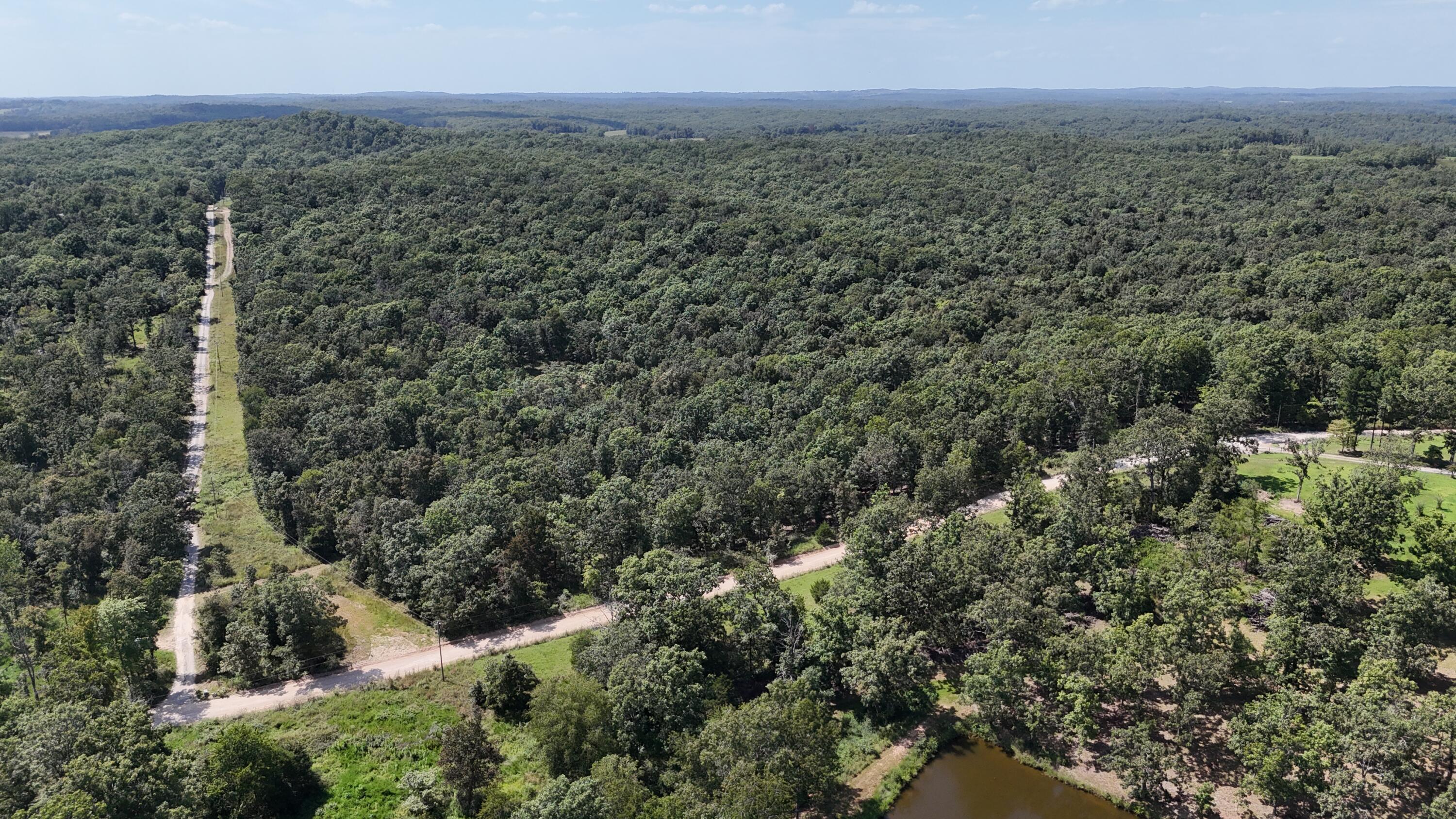 Photo 38 - Land for sale – 000  County Road 1990   Willow Springs, MO
