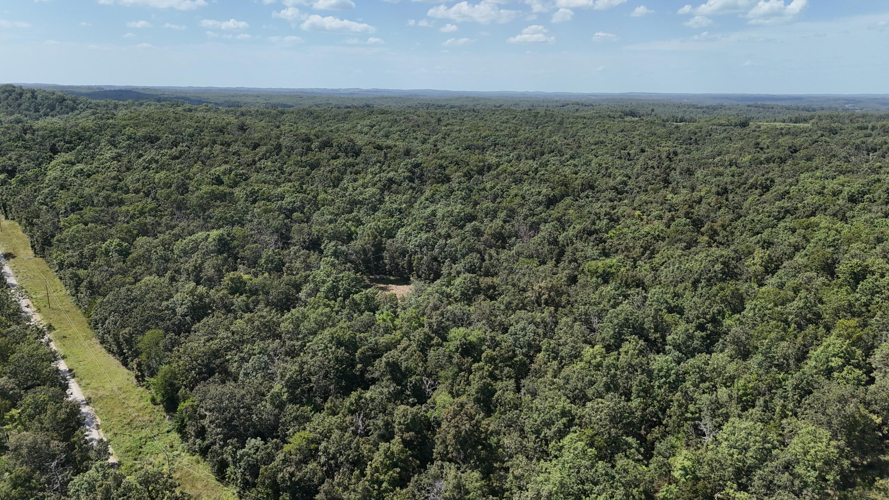 Photo 36 - Land for sale – 000  County Road 1990   Willow Springs, MO