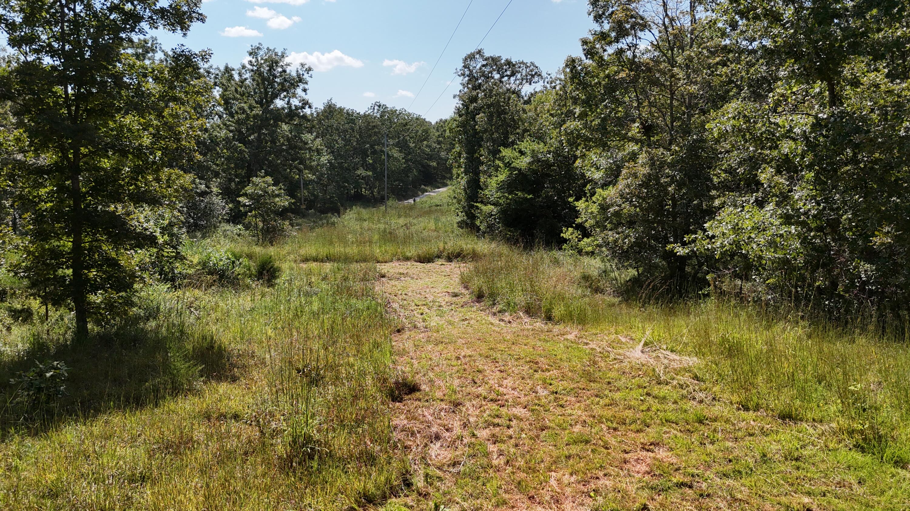 Photo 4 - Land for sale – 000  County Road 1990   Willow Springs, MO