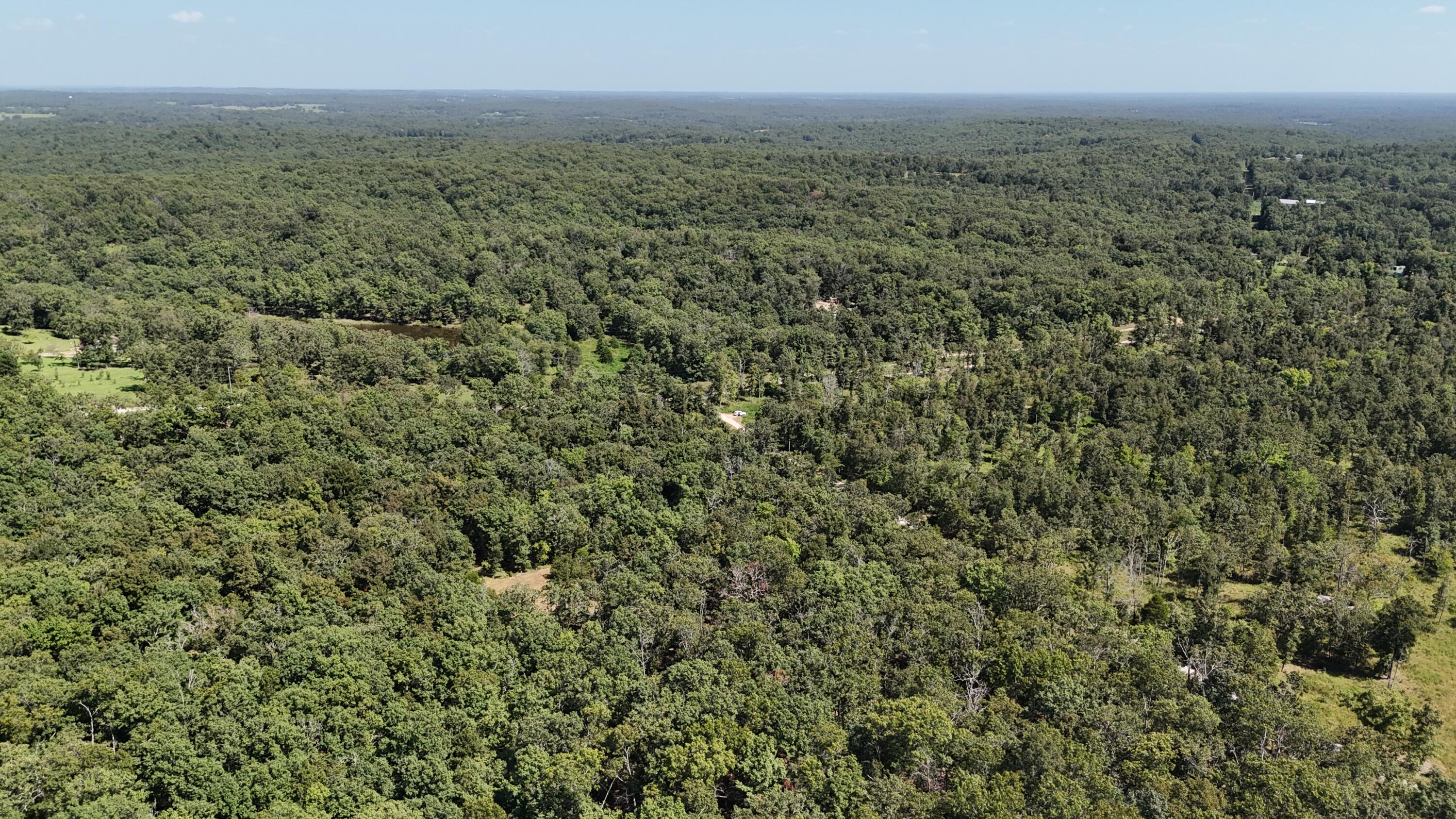 Photo 14 - Land for sale – 000  County Road 1990   Willow Springs, MO