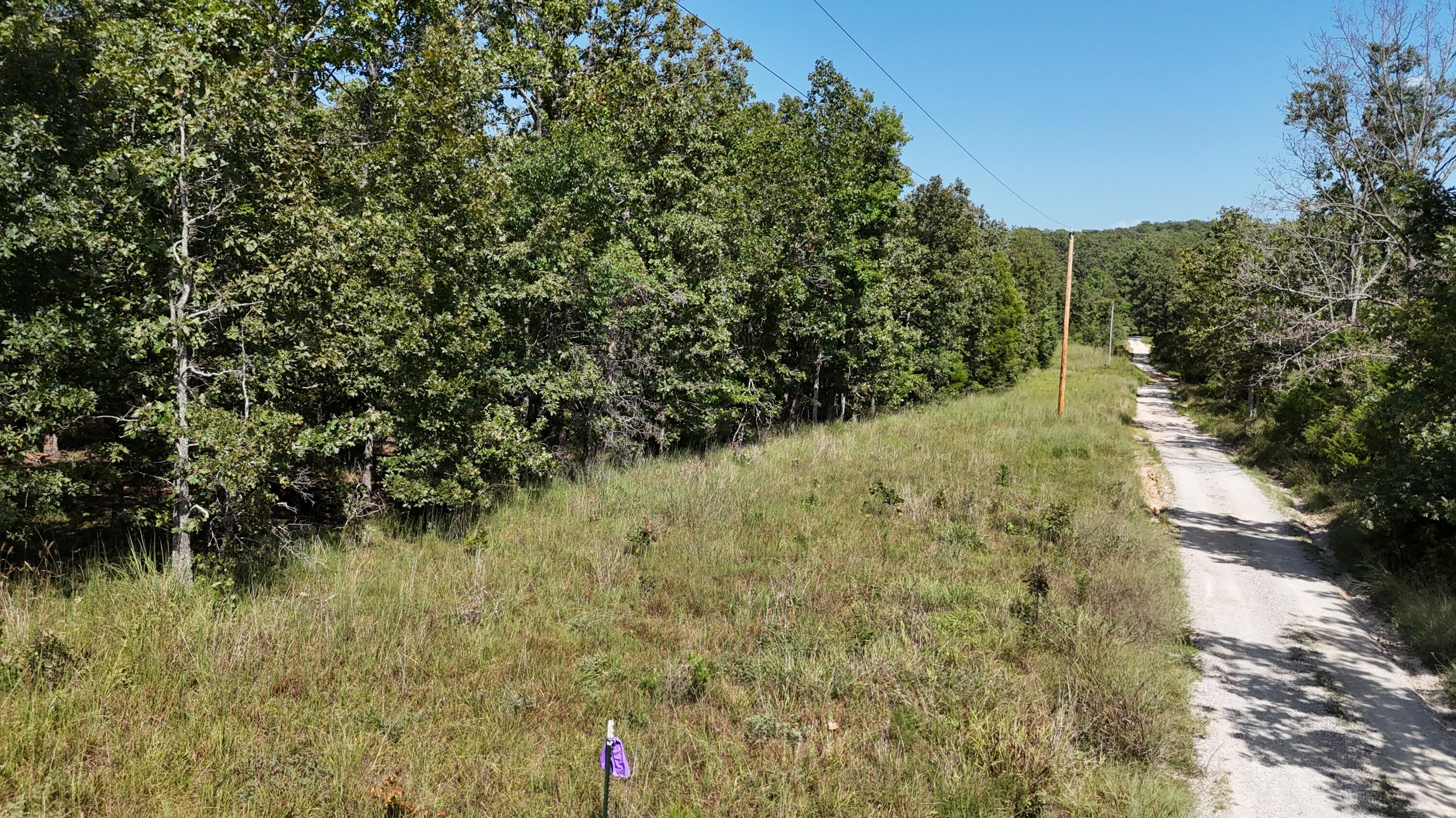 Photo 12 - Land for sale – 000  County Road 1990   Willow Springs, MO