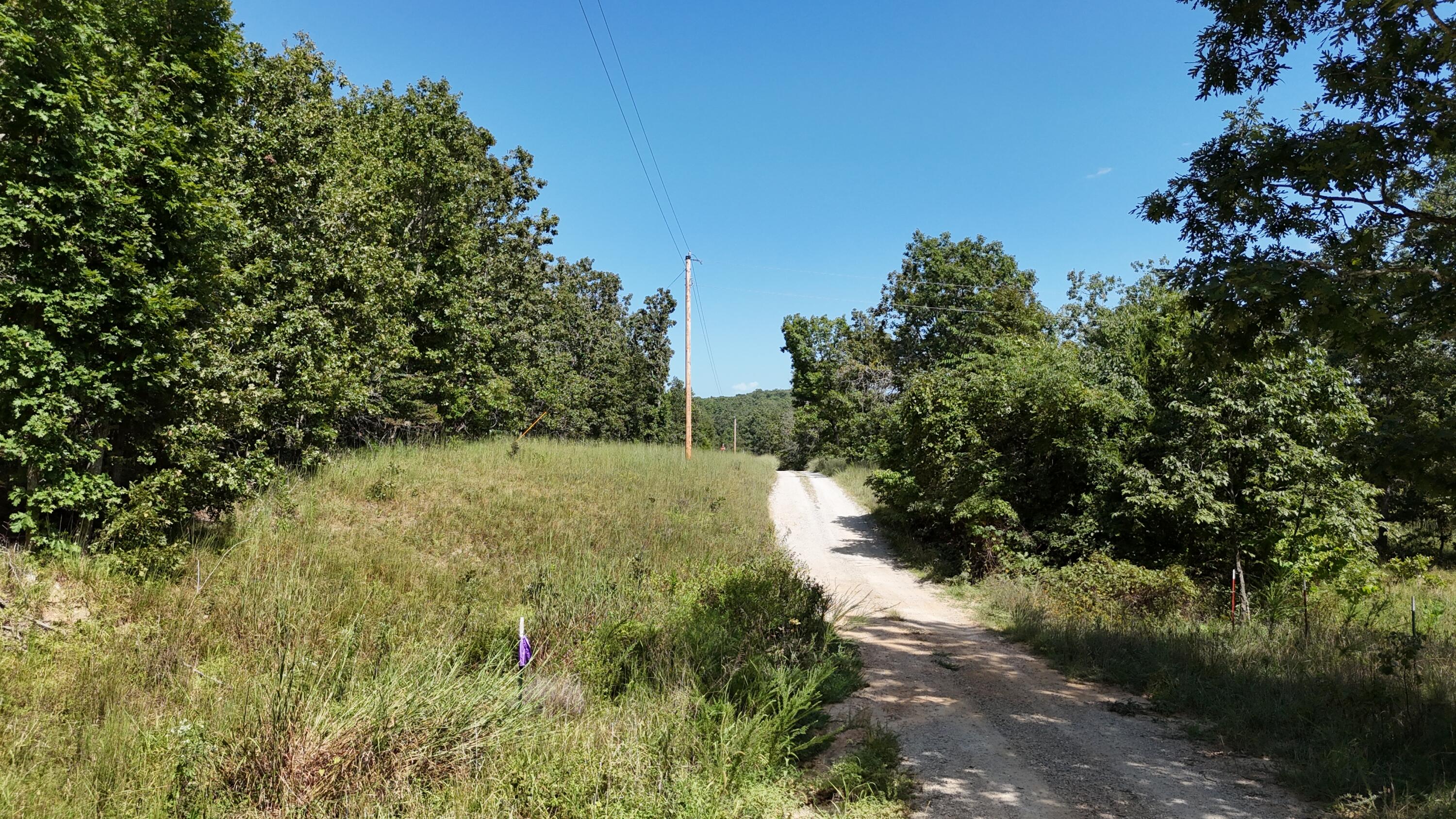 Photo 13 - Land for sale – 000  County Road 1990   Willow Springs, MO