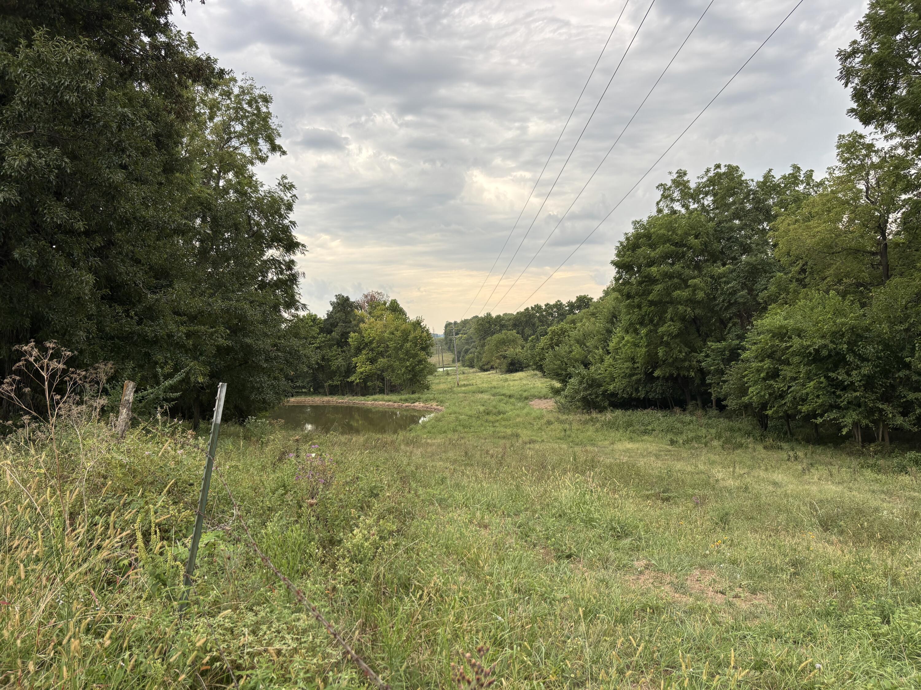 Photo 3 - Land for sale – O E 540th Road  Morrisville, MO