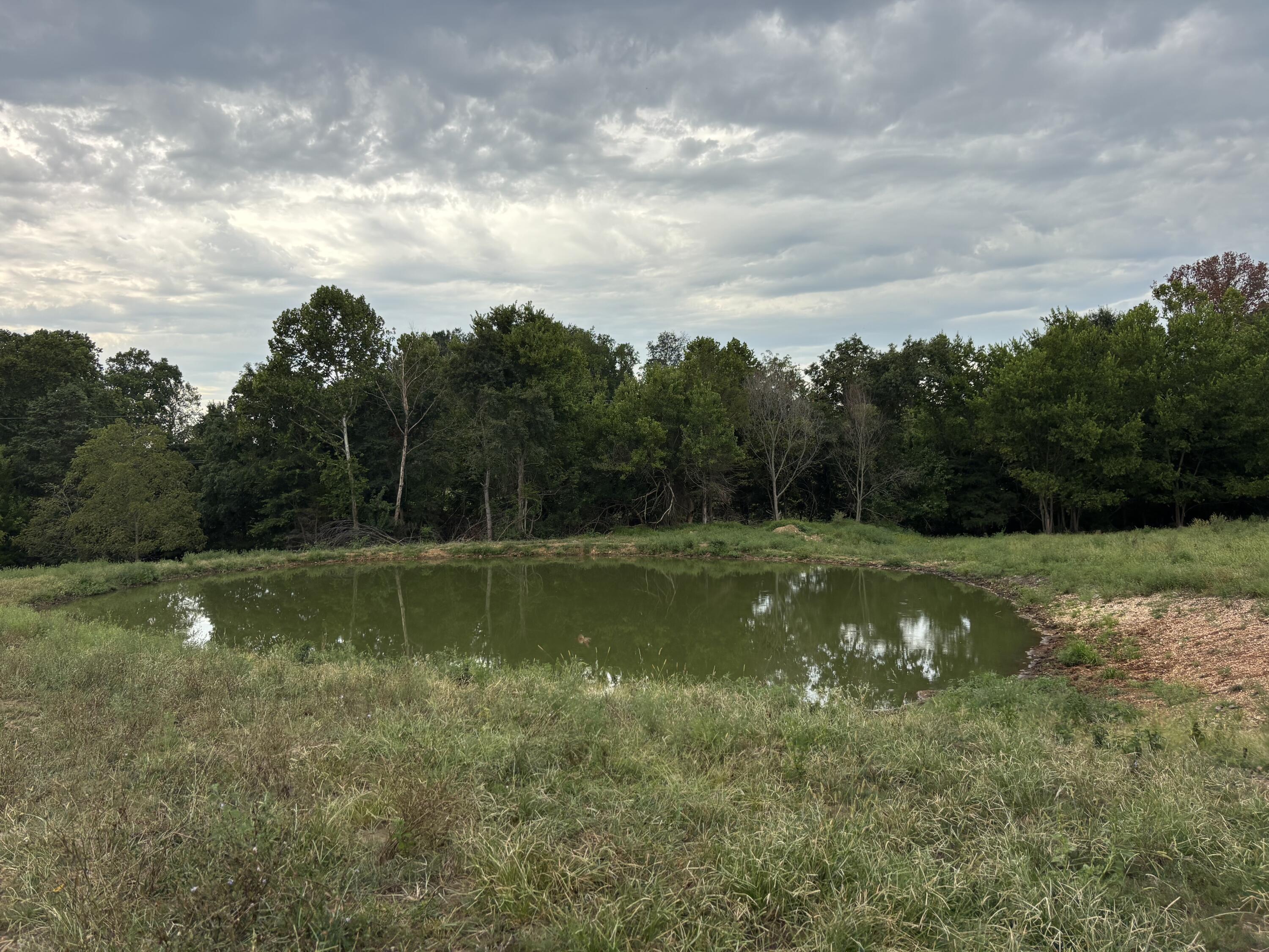Photo 4 - Land for sale – O E 540th Road  Morrisville, MO