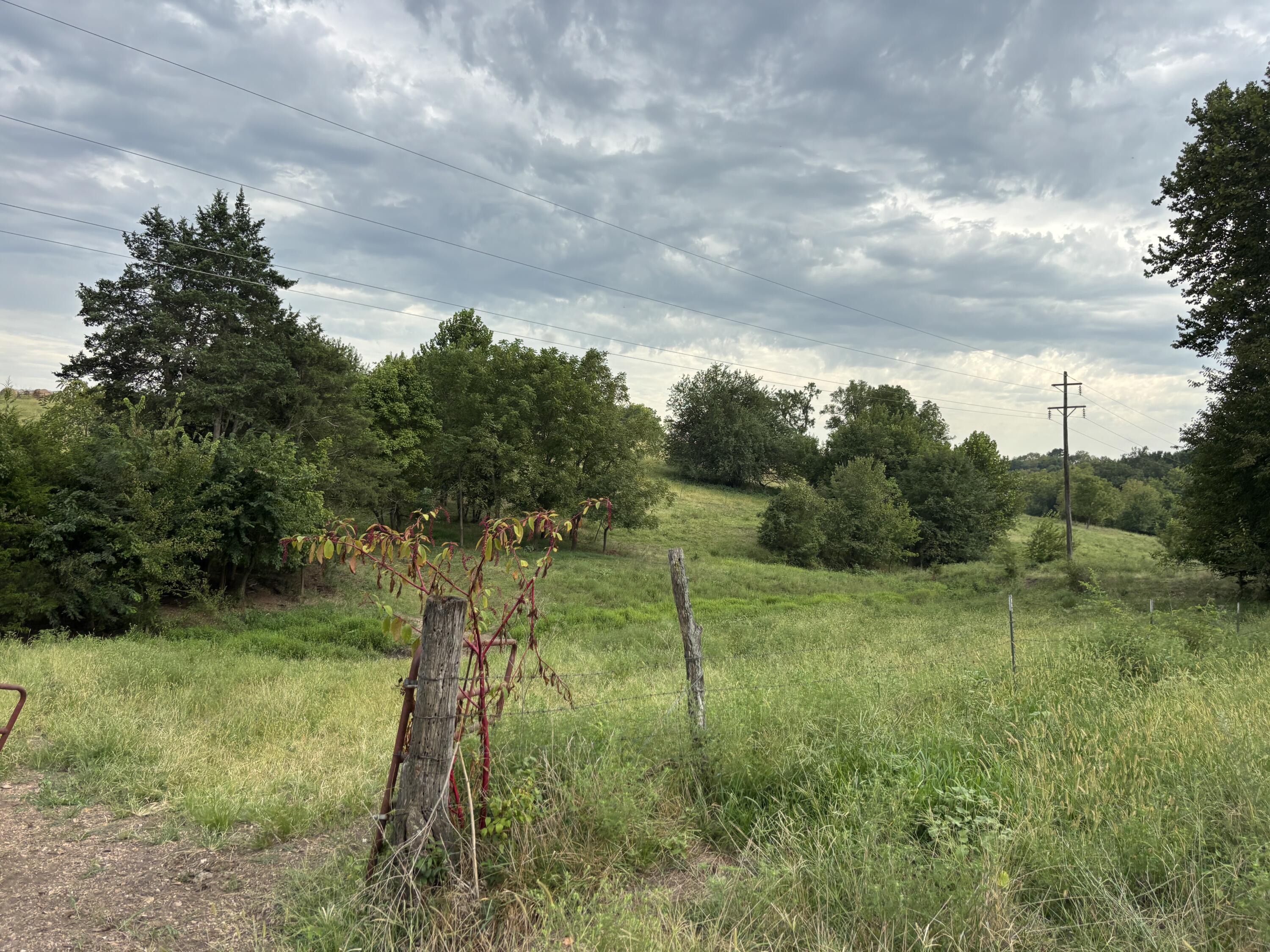Photo 5 - Land for sale – O E 540th Road  Morrisville, MO