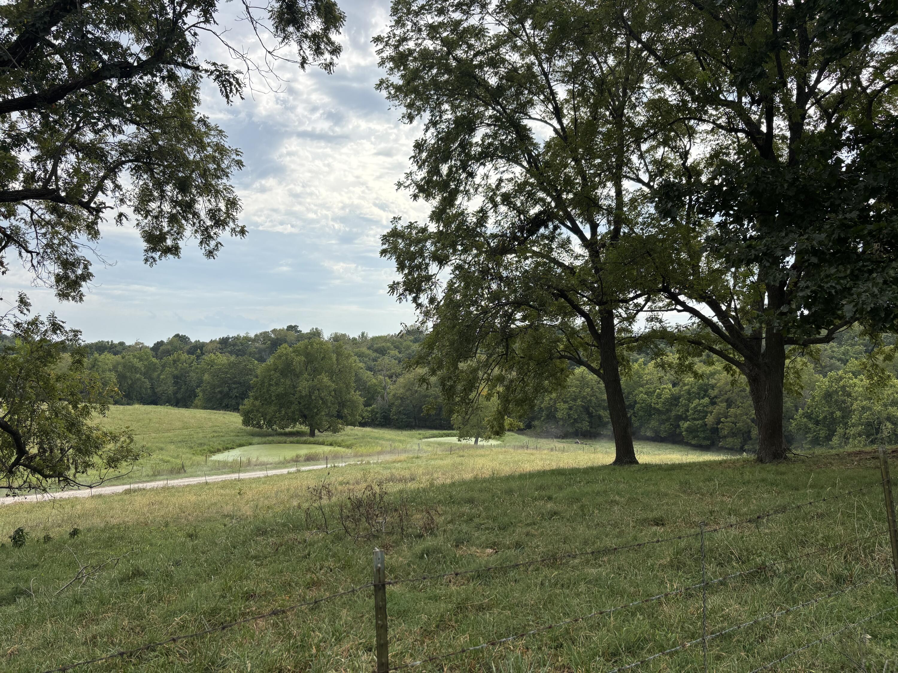 Photo 2 - Land for sale – O E 540th Road  Morrisville, MO