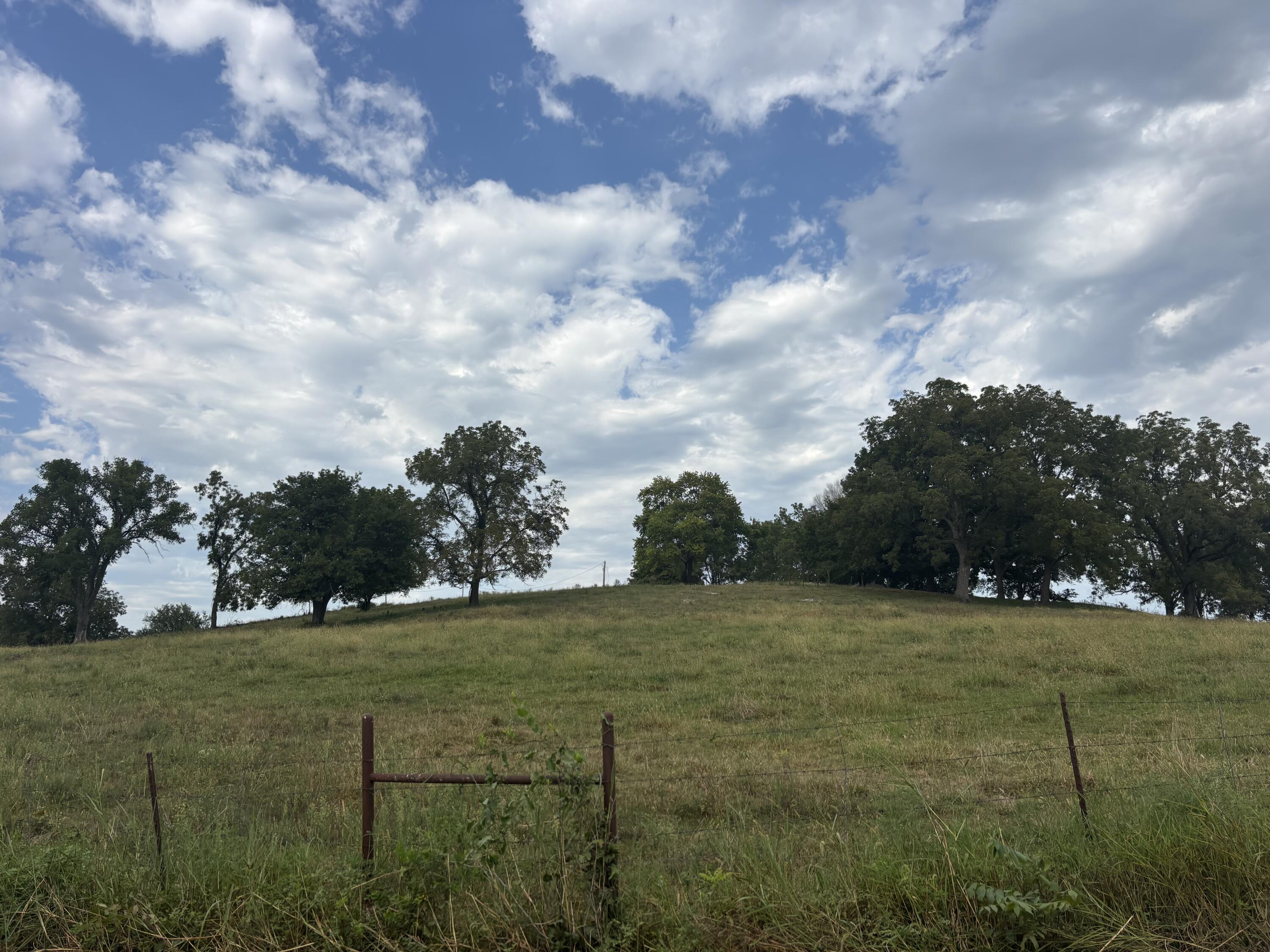 Land for sale – O E 540th Road  Morrisville, MO