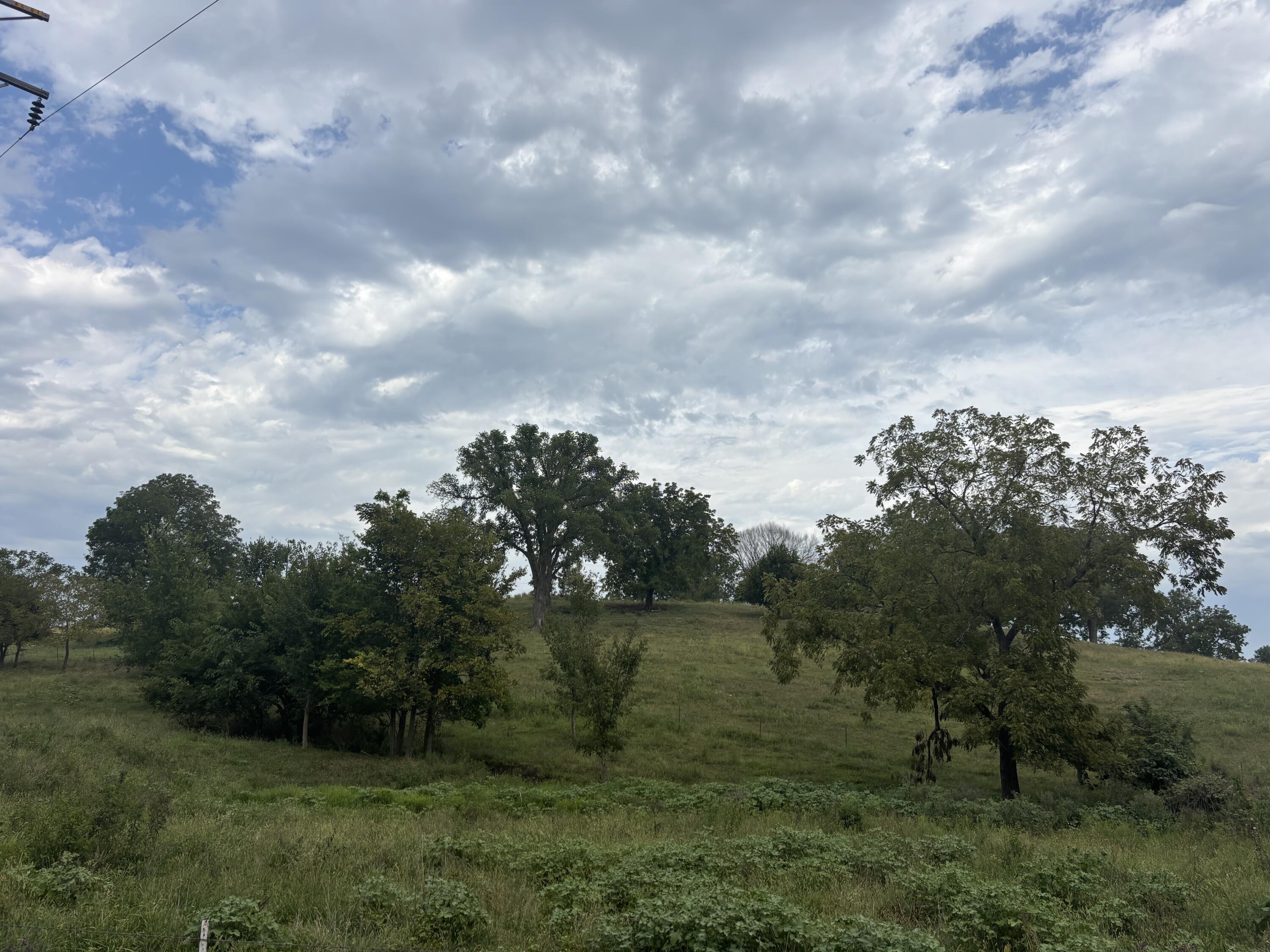 Photo 7 - Land for sale – O E 540th Road  Morrisville, MO