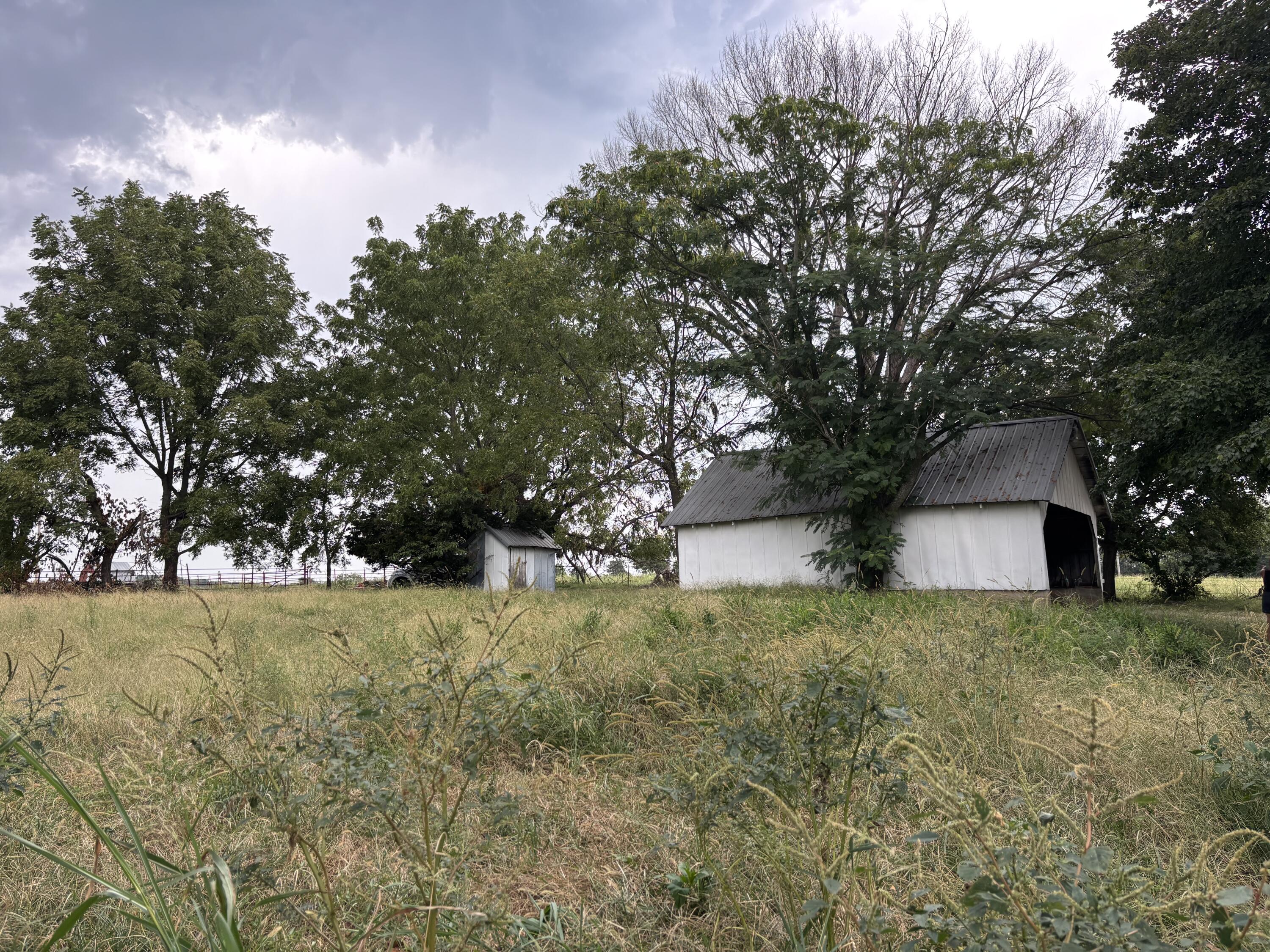 Photo 10 - Land for sale – O E 540th Road  Morrisville, MO