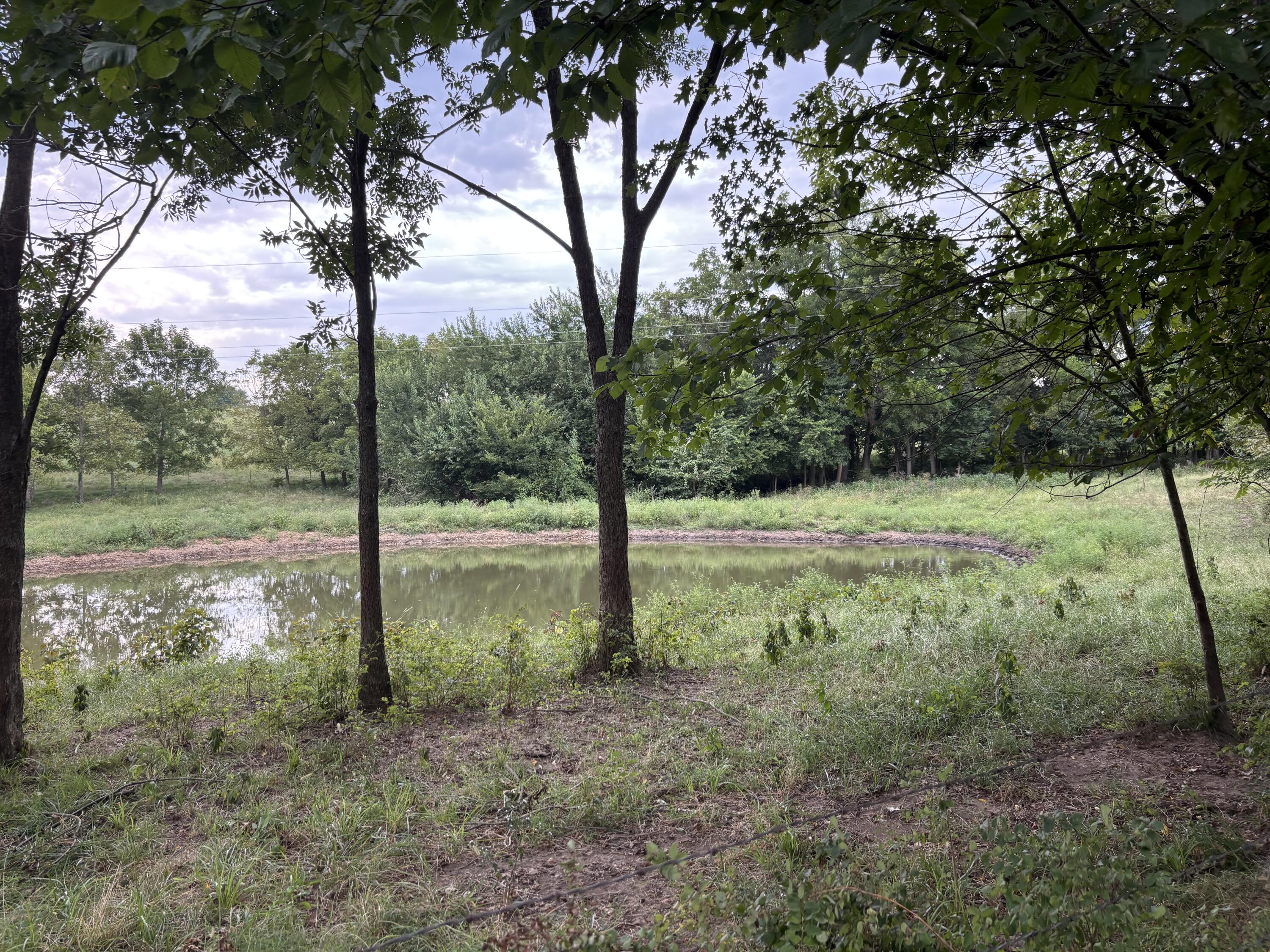 Photo 8 - Land for sale – O E 540th Road  Morrisville, MO