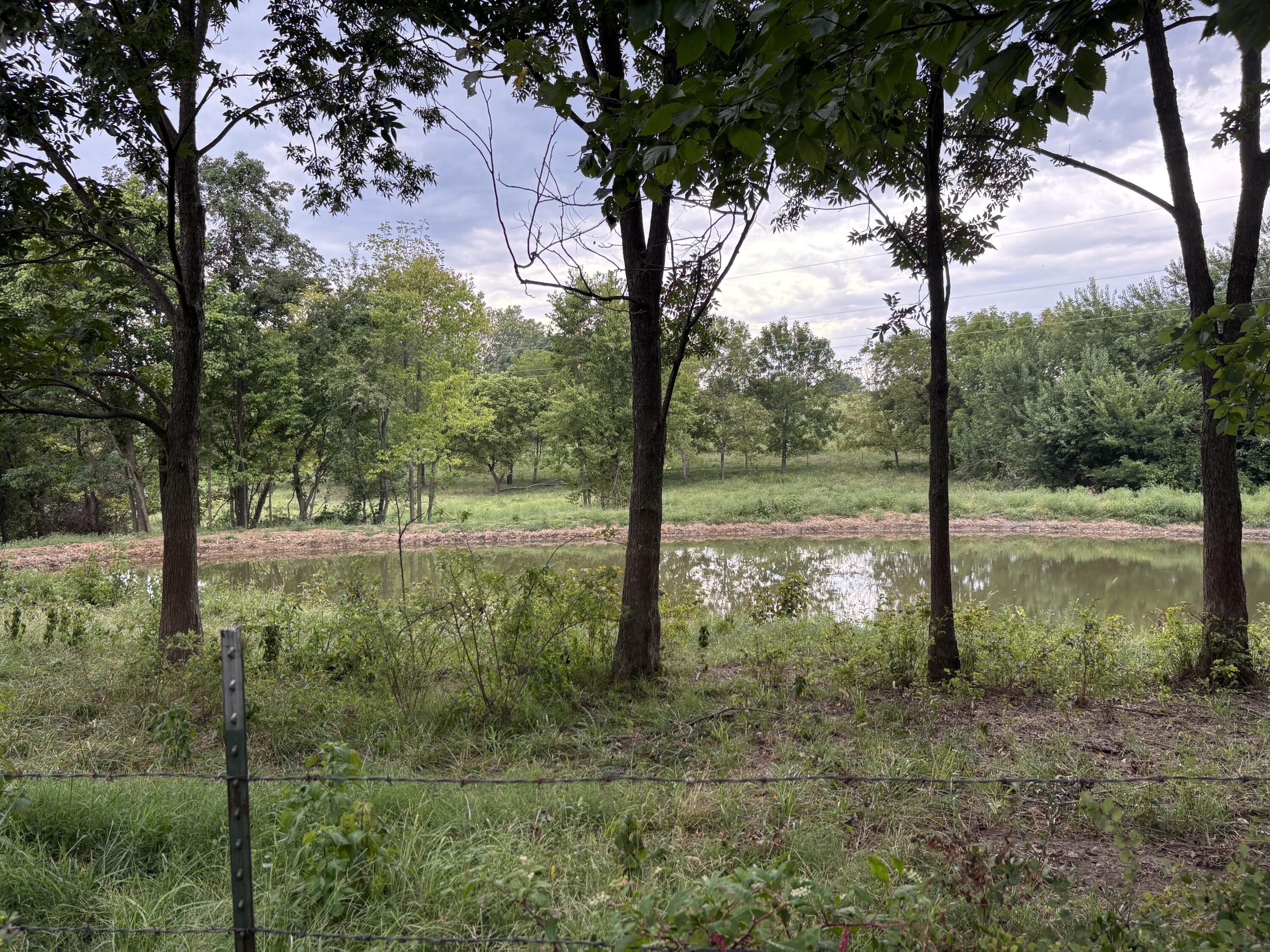 Photo 11 - Land for sale – O E 540th Road  Morrisville, MO