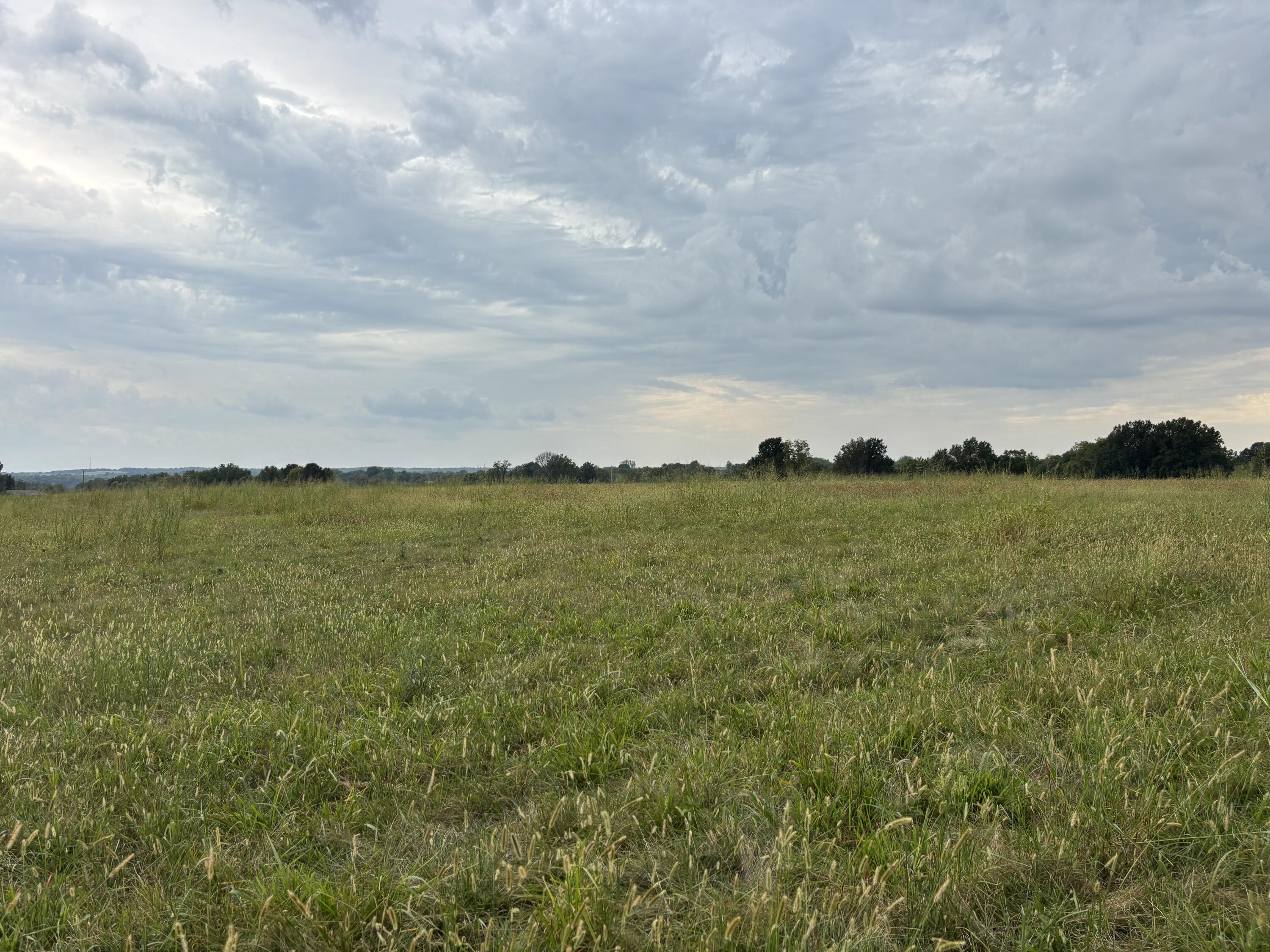 Photo 6 - Land for sale – O E 540th Road  Morrisville, MO