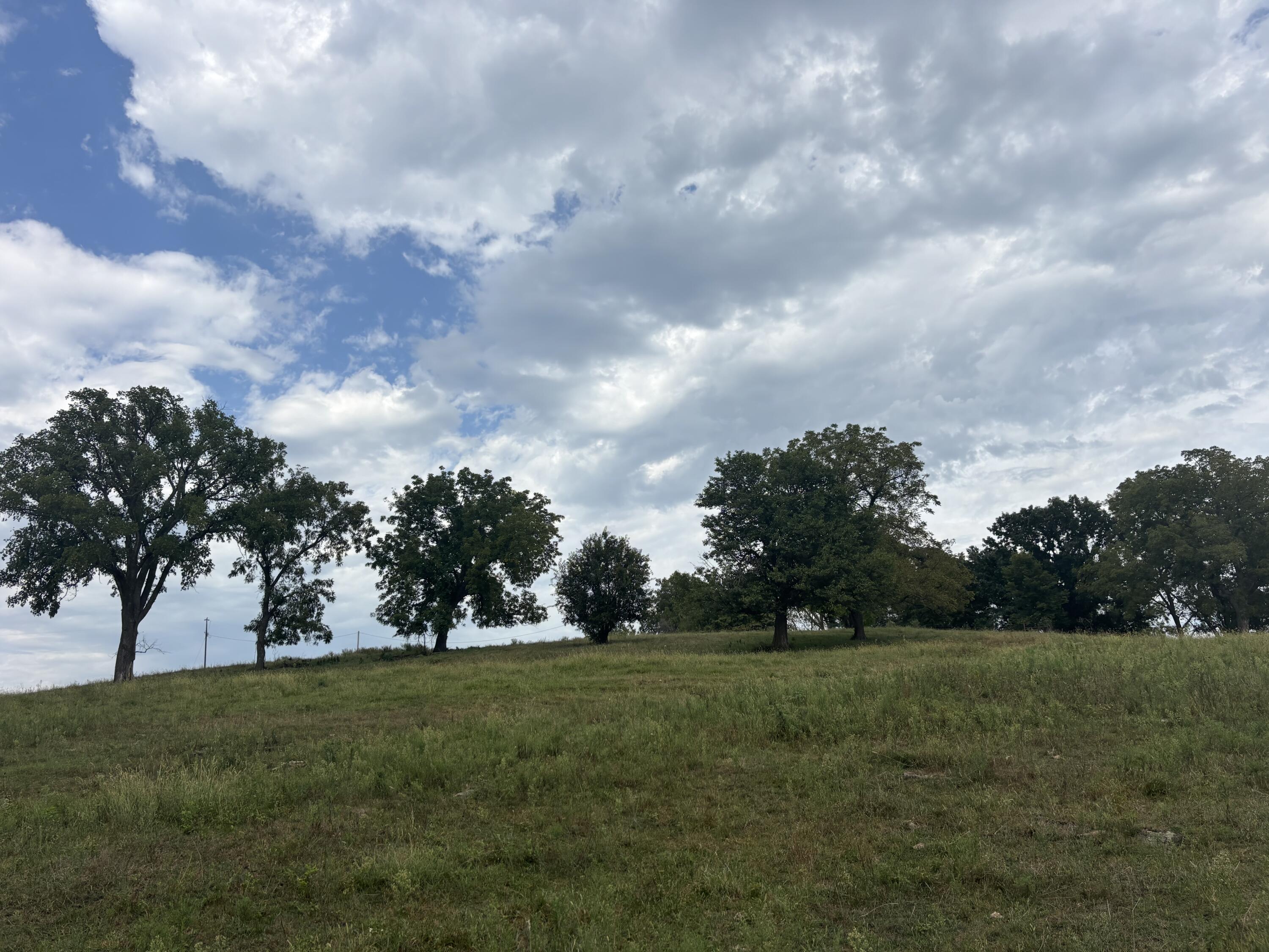 Photo 9 - Land for sale – O E 540th Road  Morrisville, MO